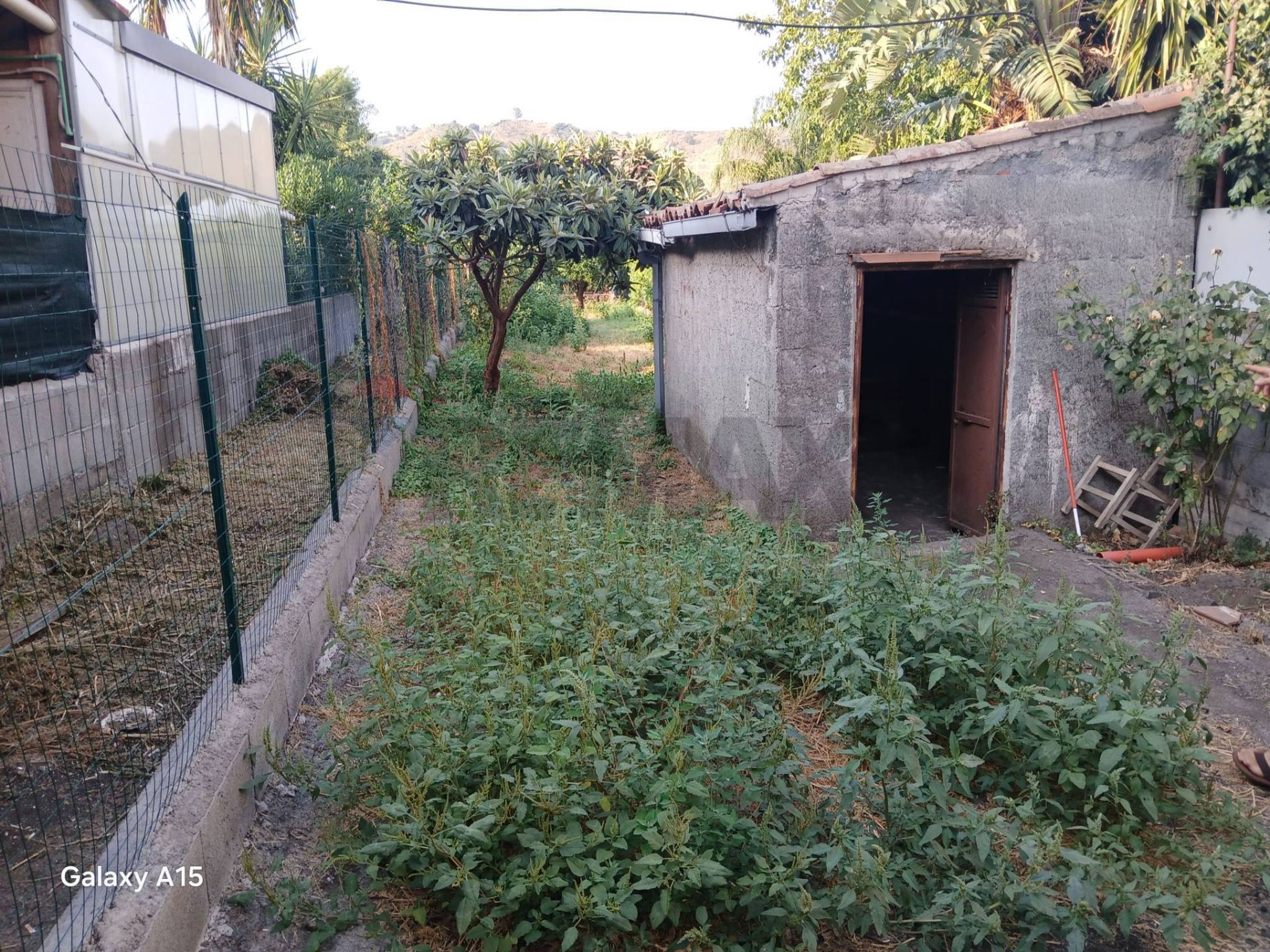 Giardino