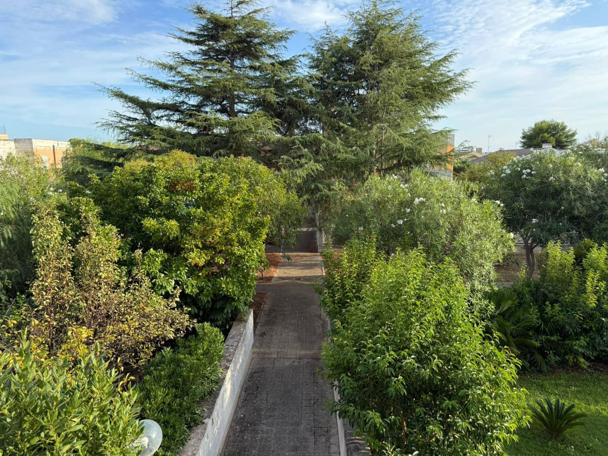 Giardino