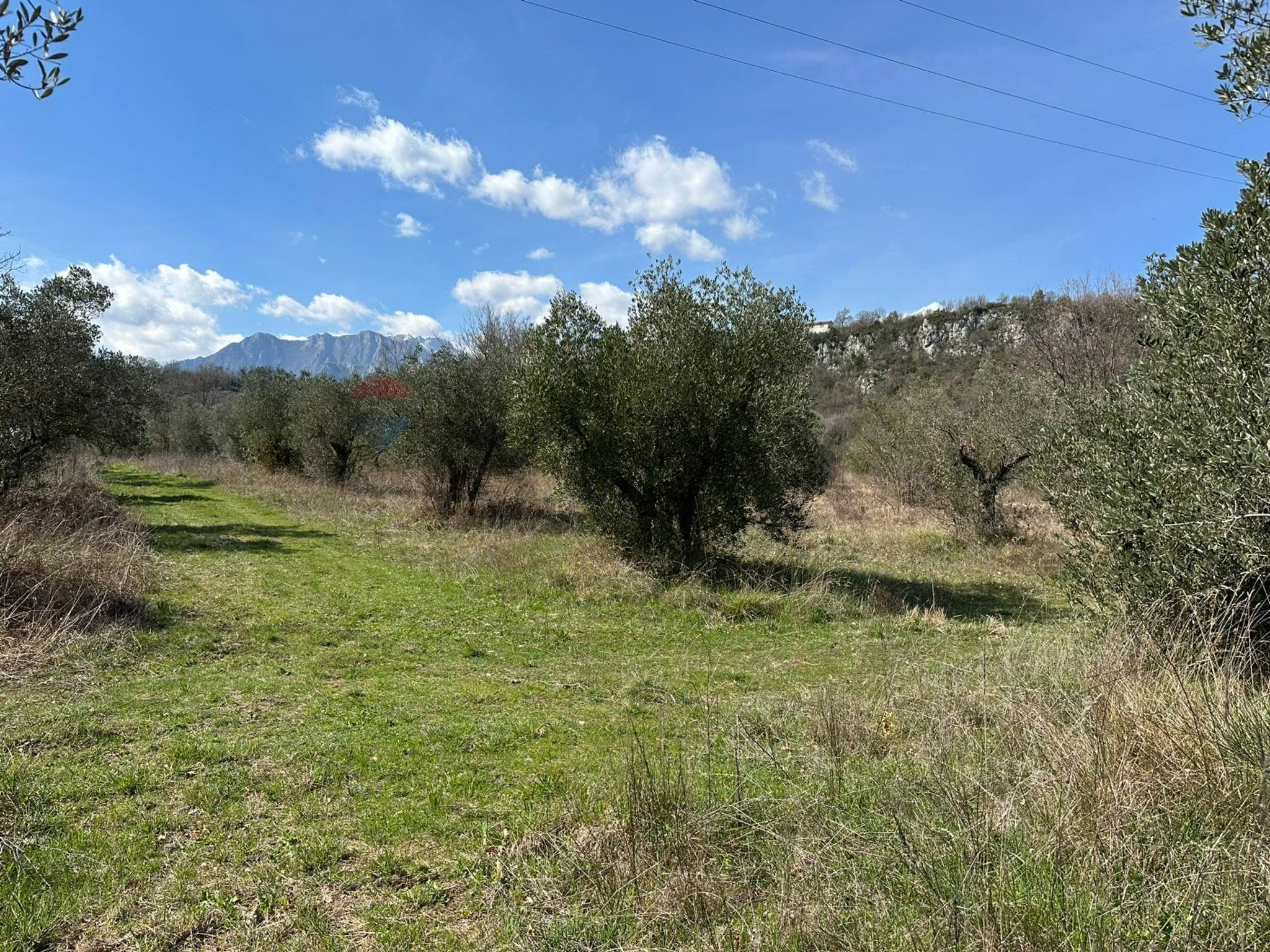 Vista delle montagne