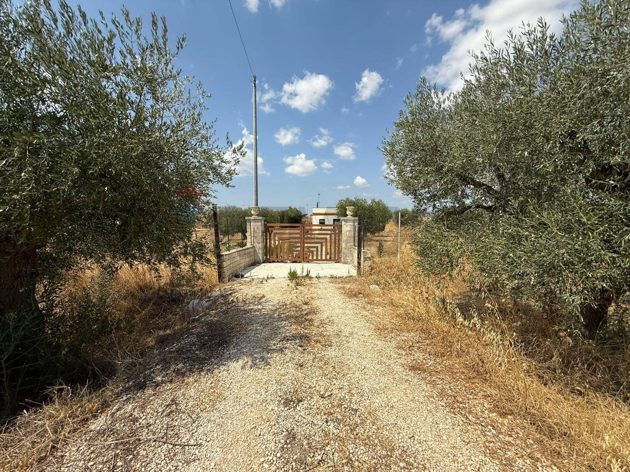 Giardino