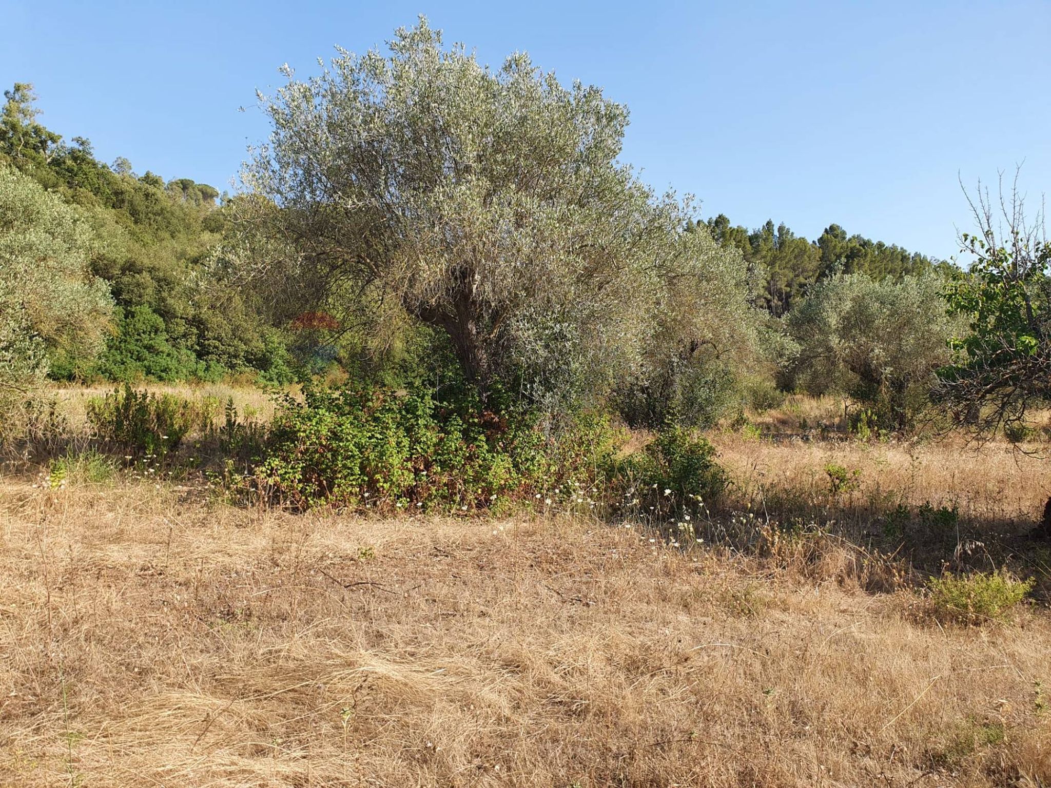 Vista delle montagne