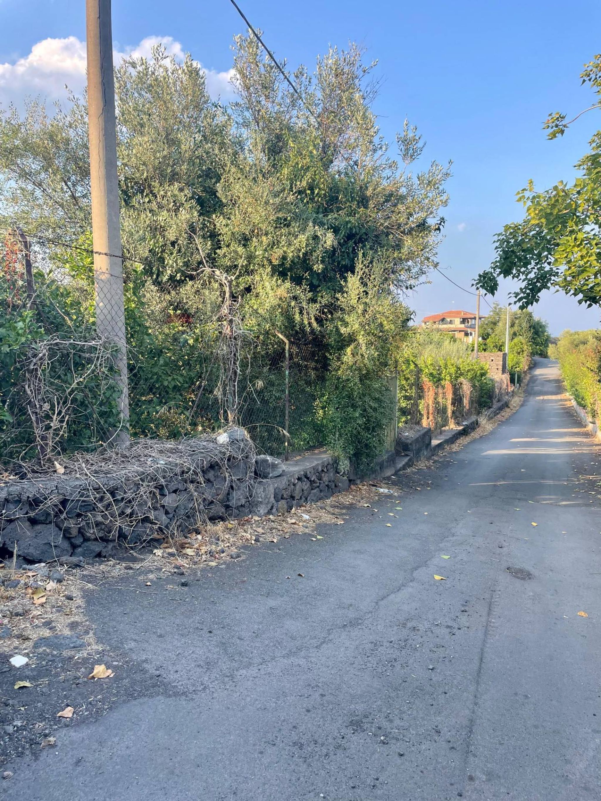Vista dell'acqua