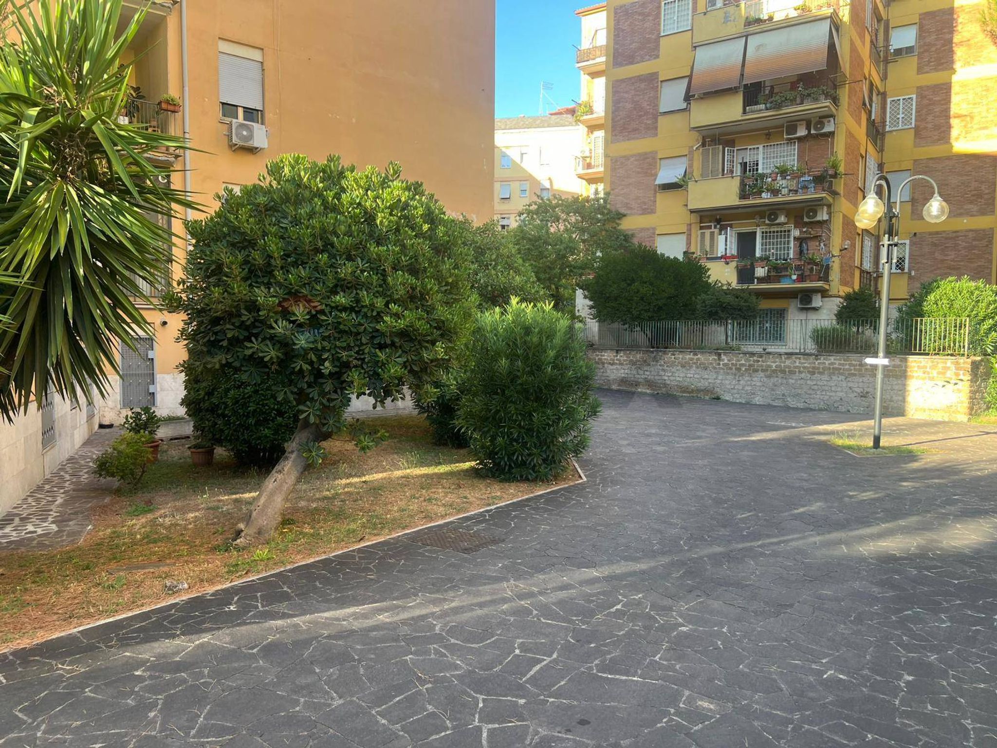 Immobile a Roma