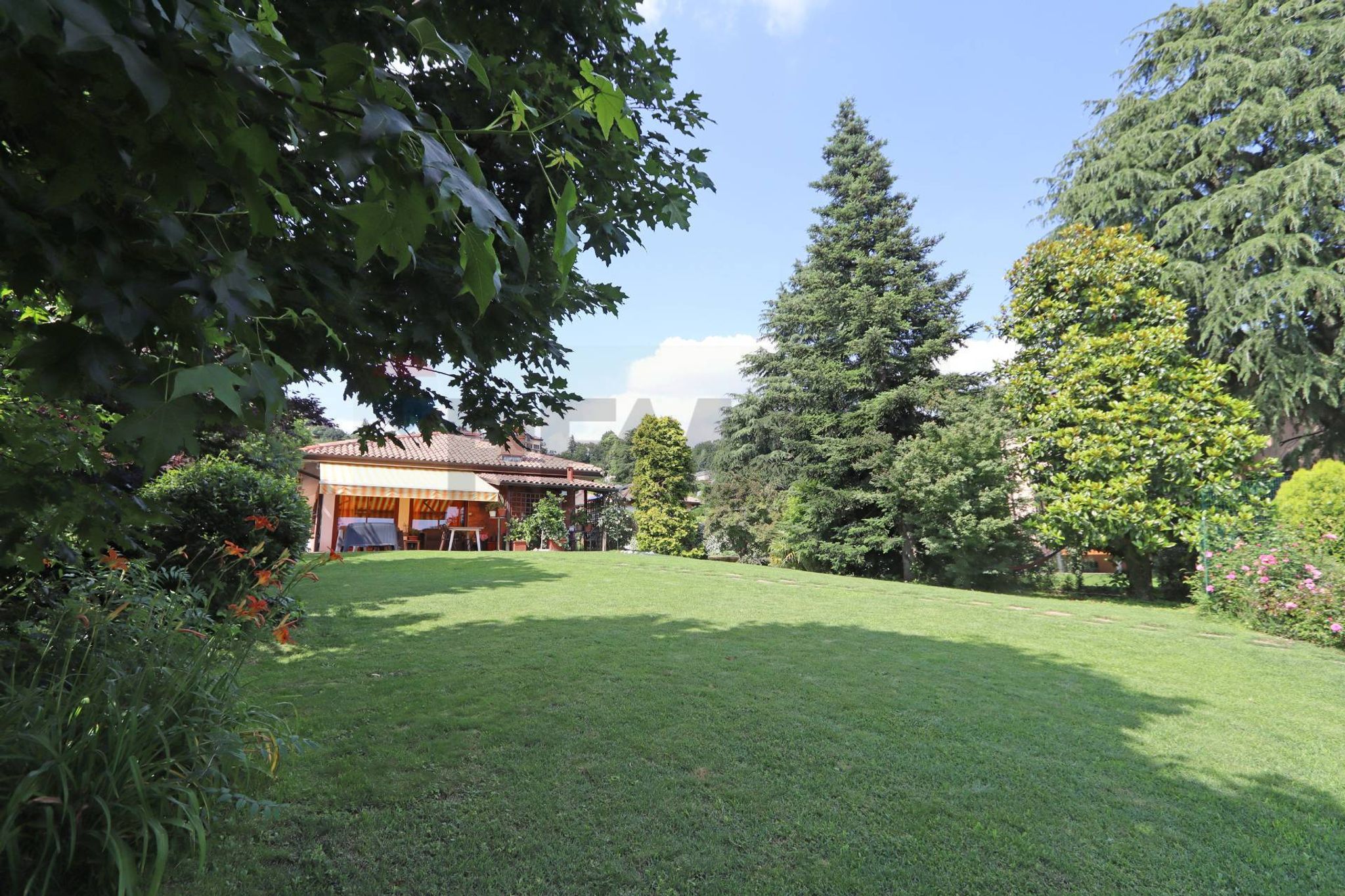 Giardino