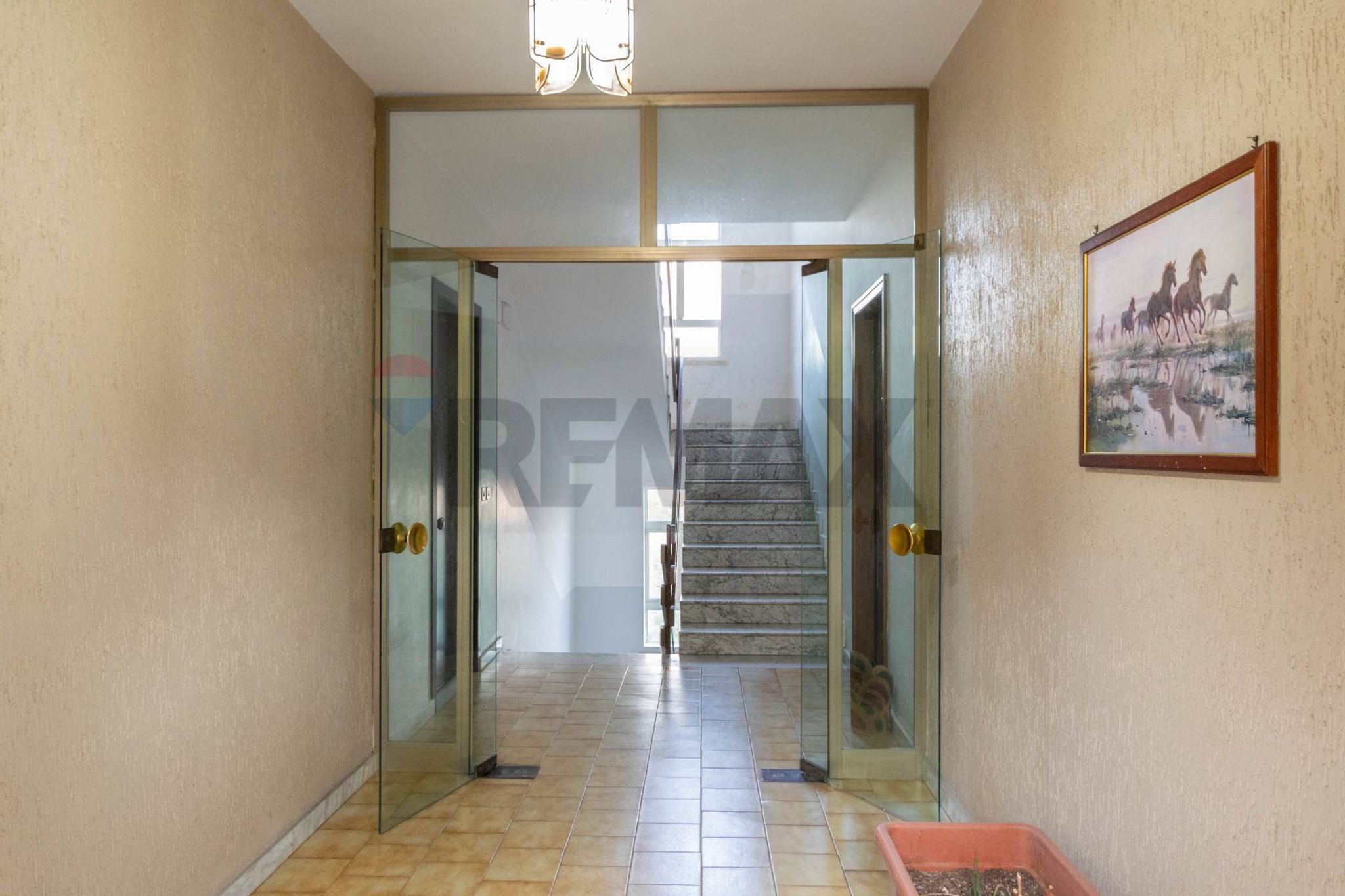 Hall / corridoio