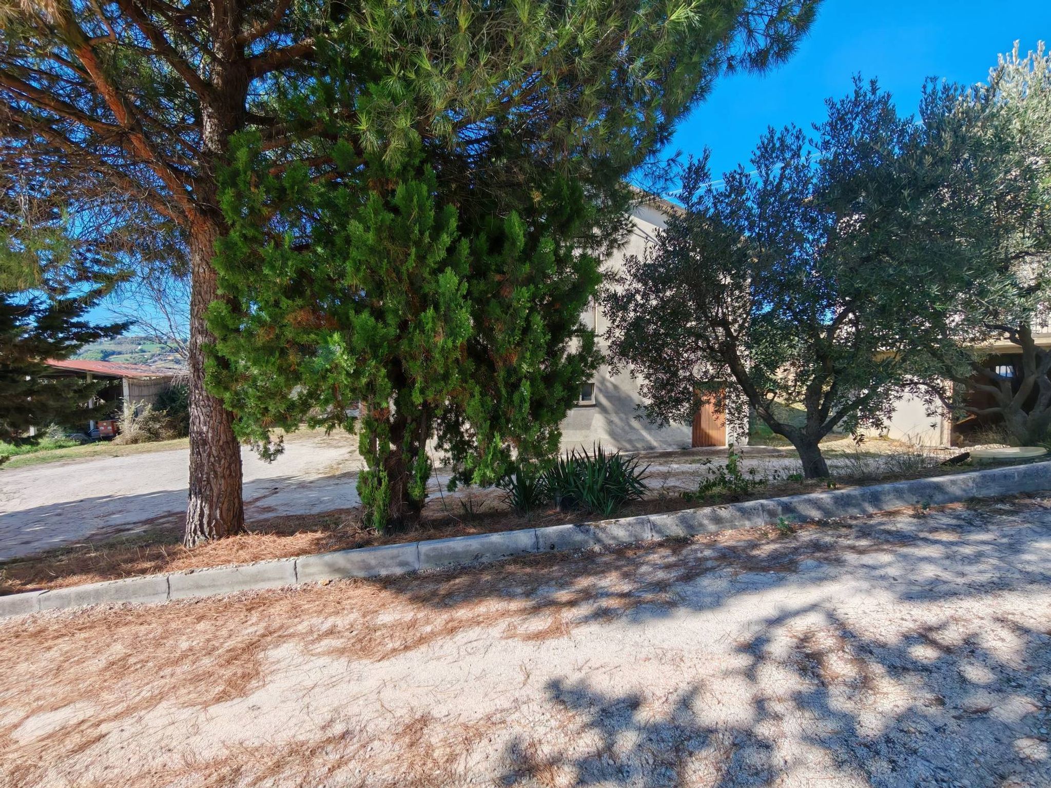 Giardino