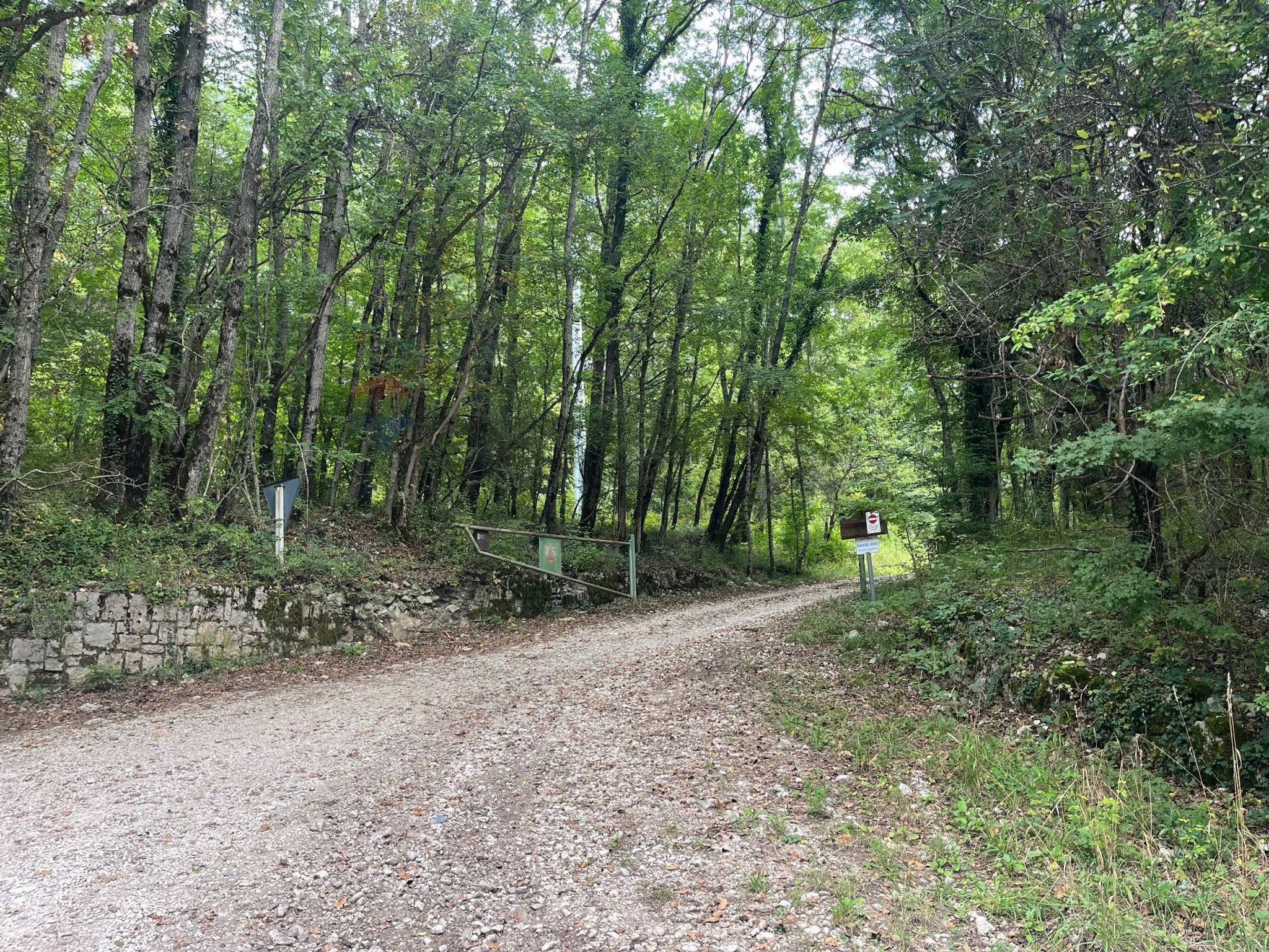 Giardino