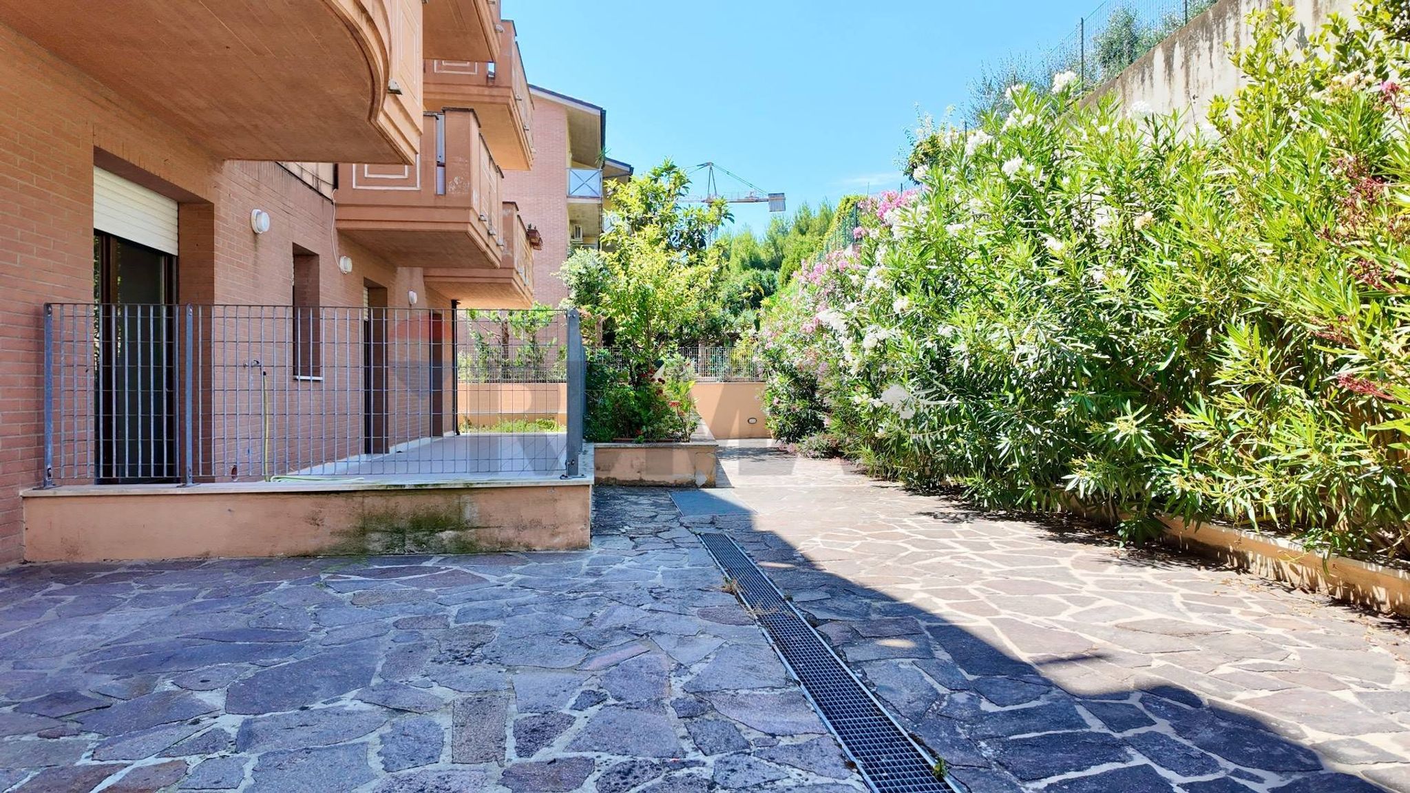 Terrazza