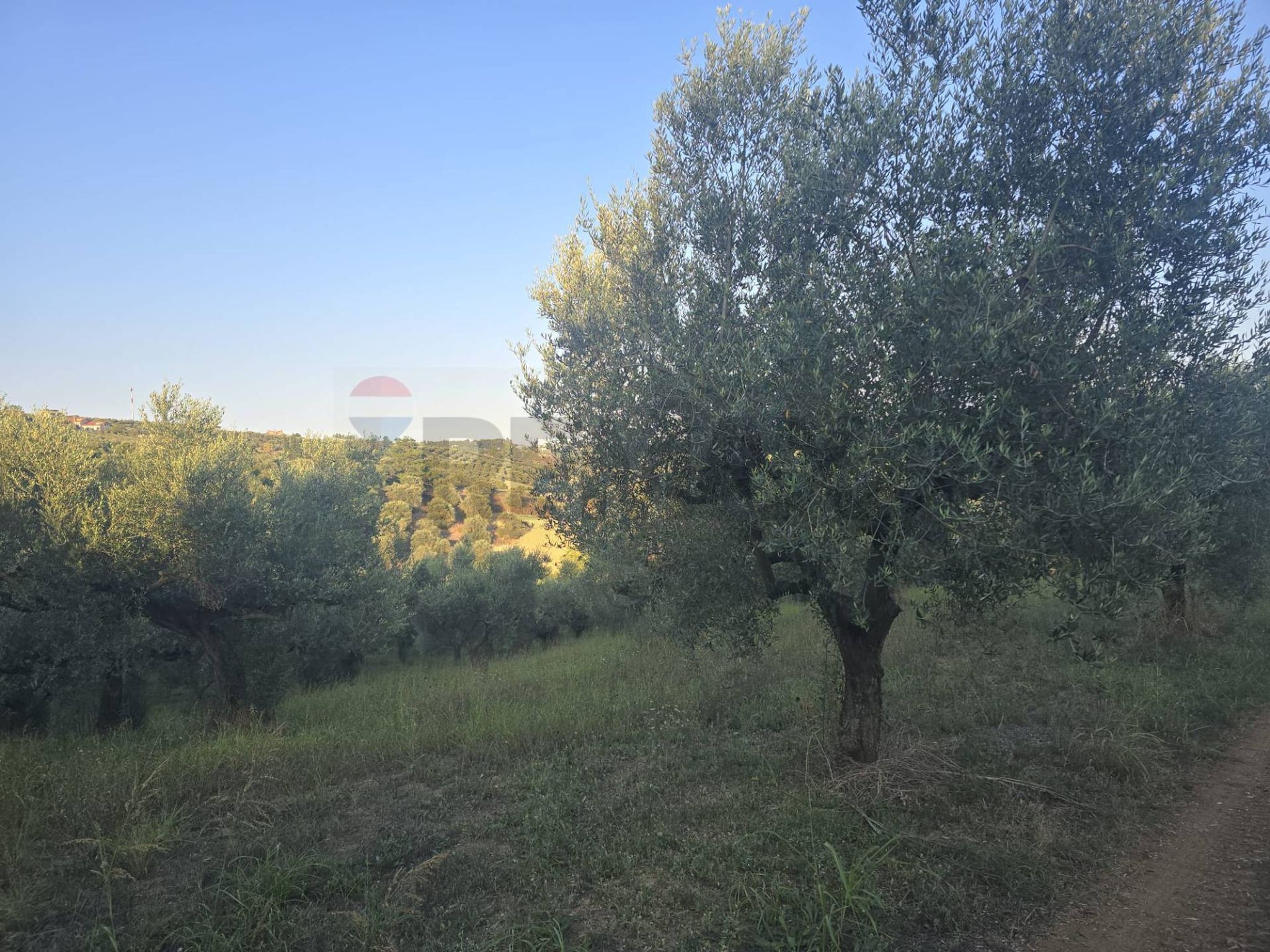 Non correlato