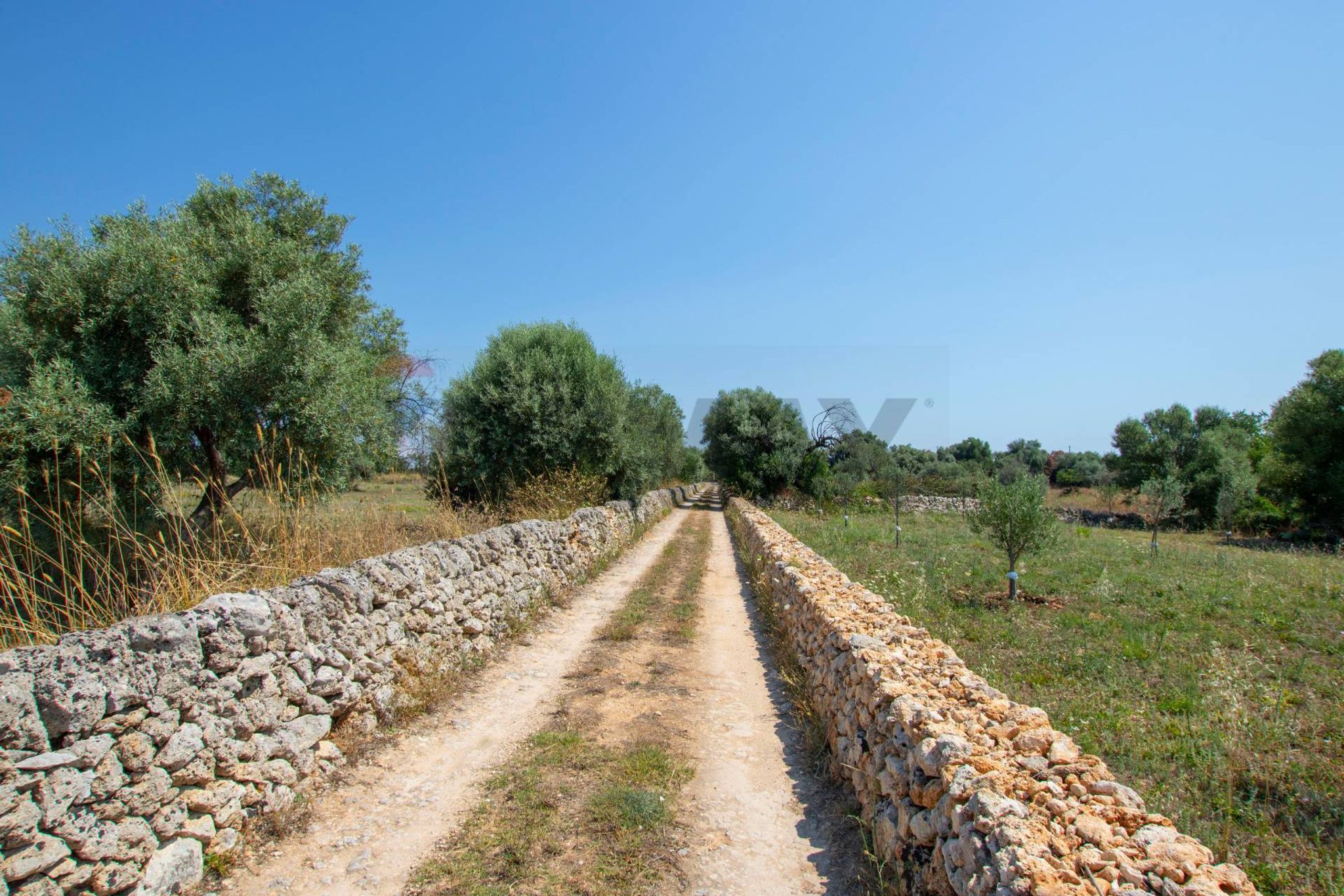 Vista delle montagne