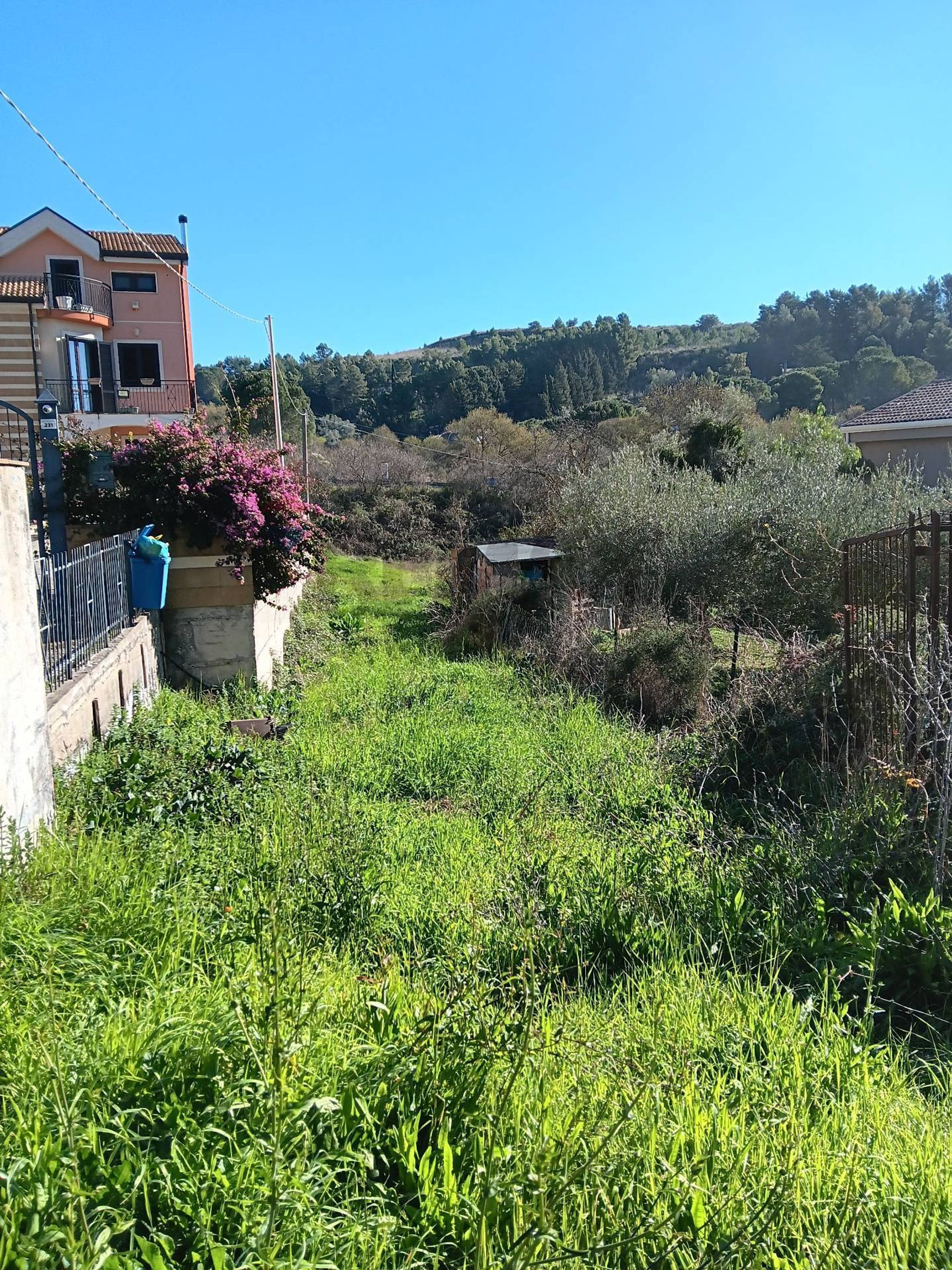 Vista delle montagne