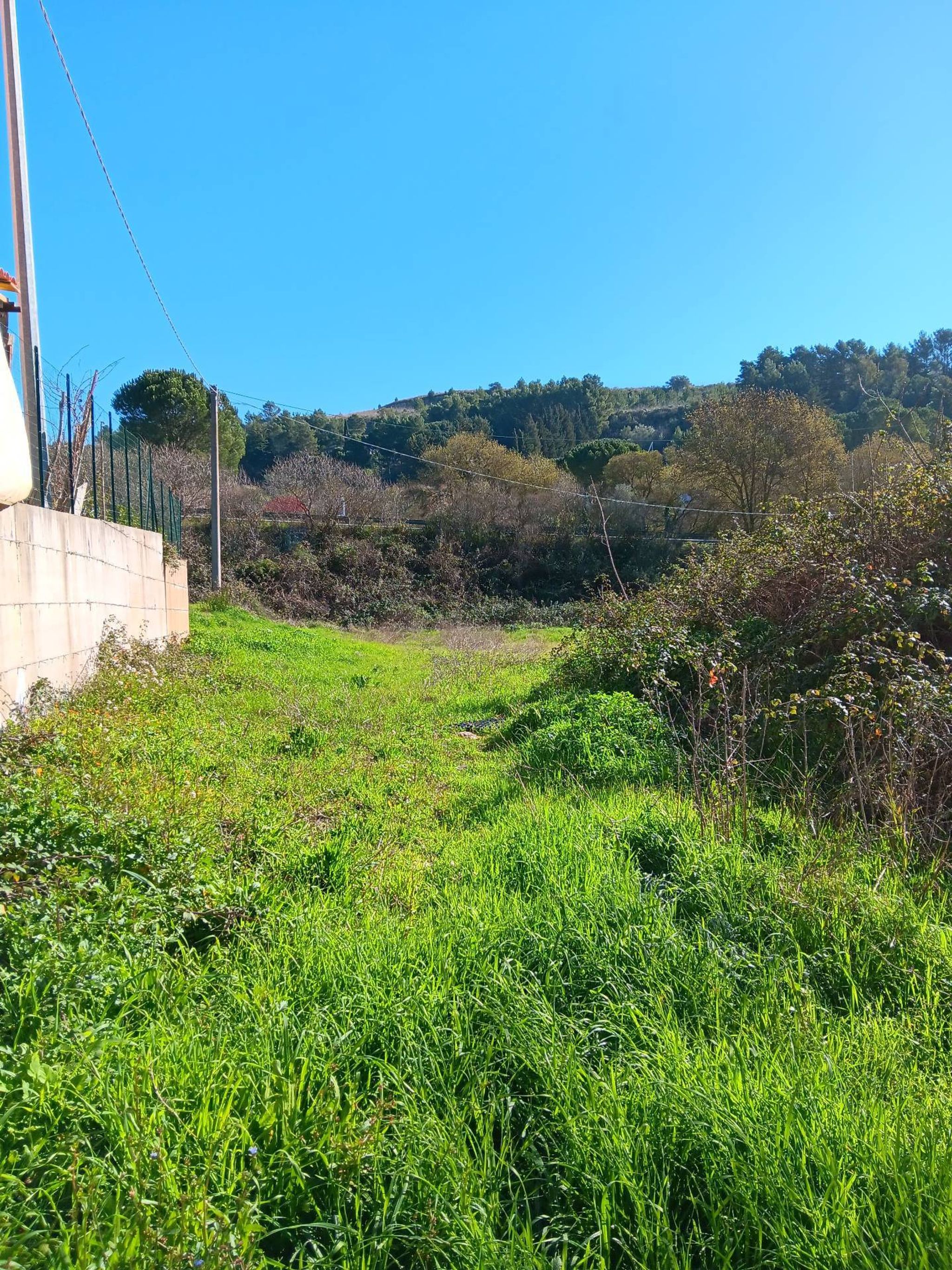 Vista delle montagne
