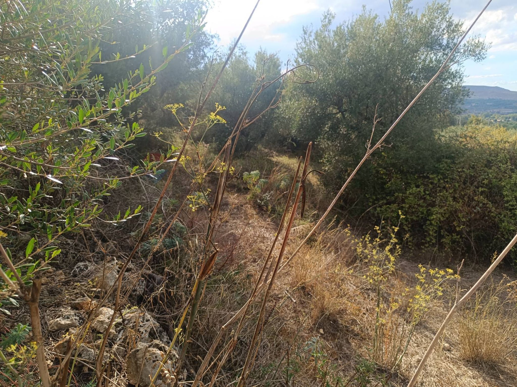 Vista delle montagne