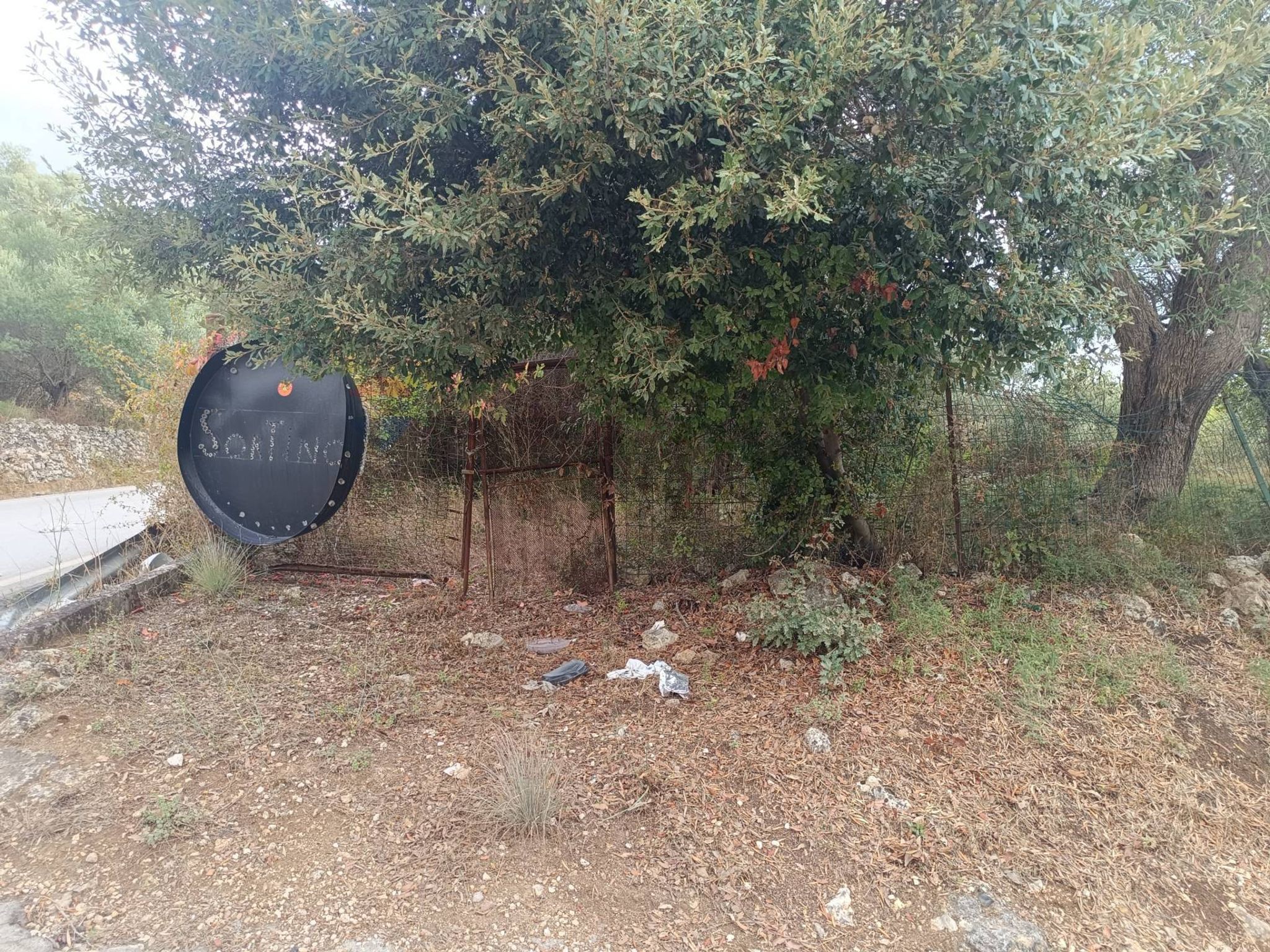 Giardino