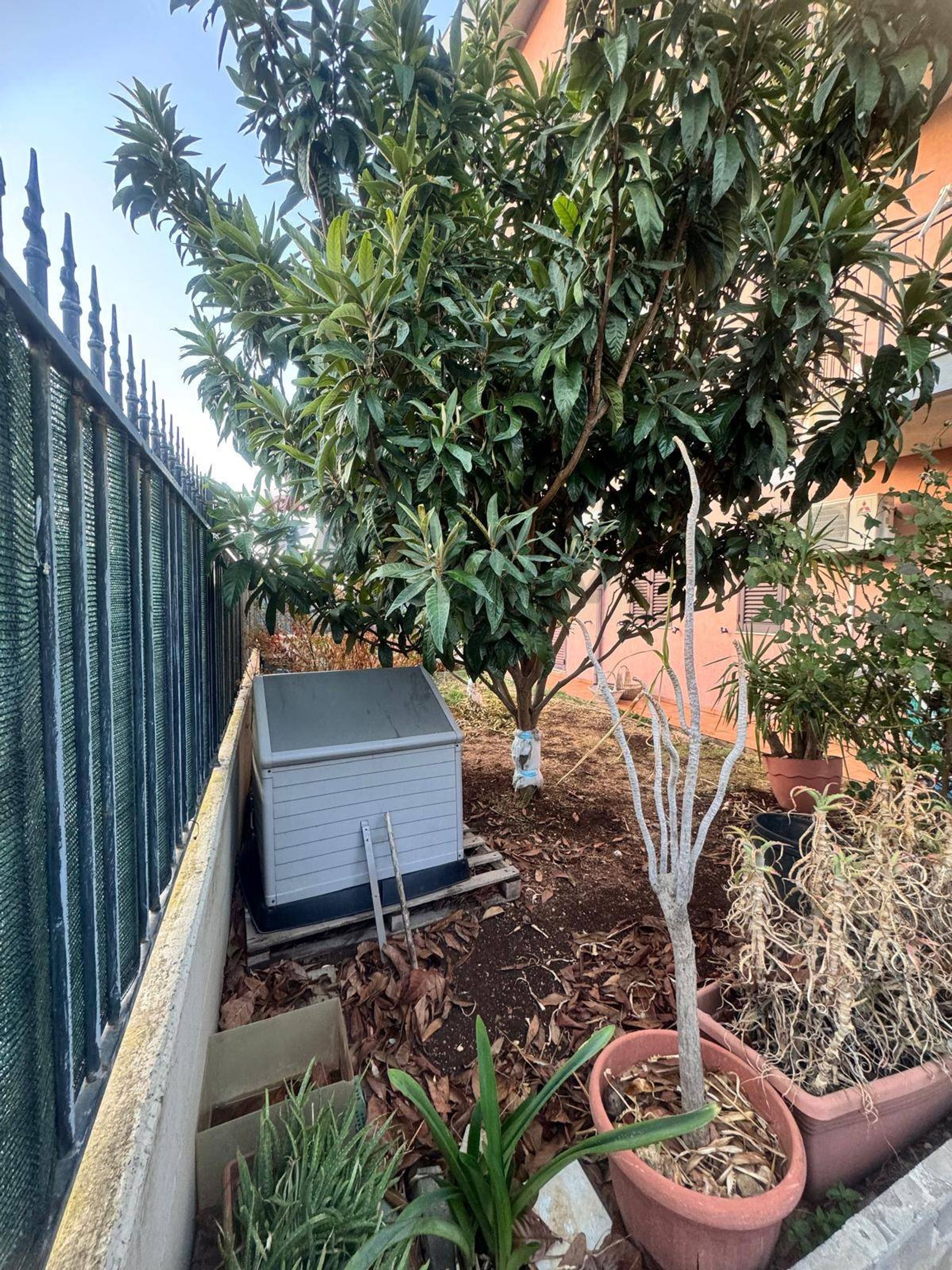 Giardino