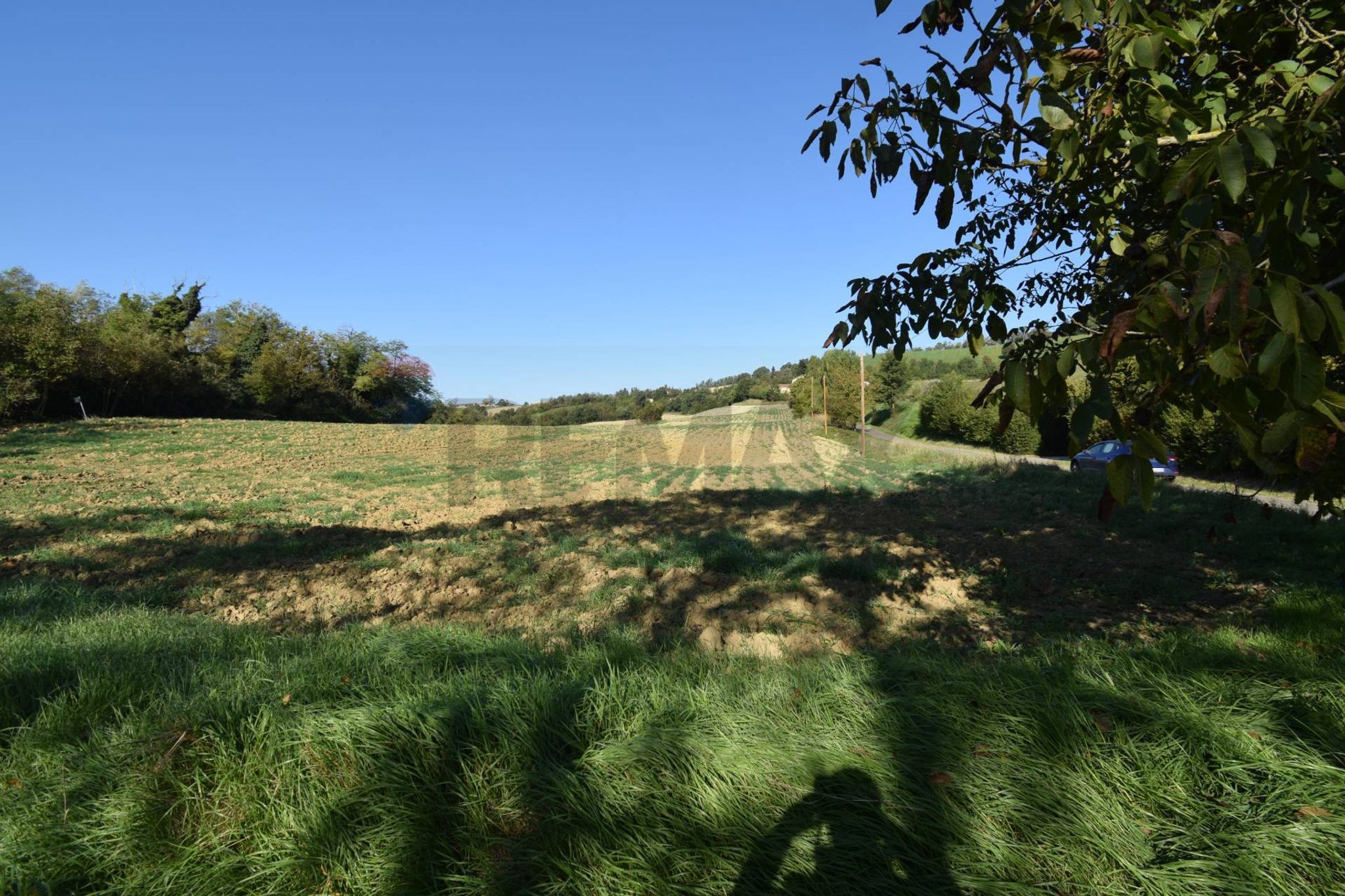 terreno