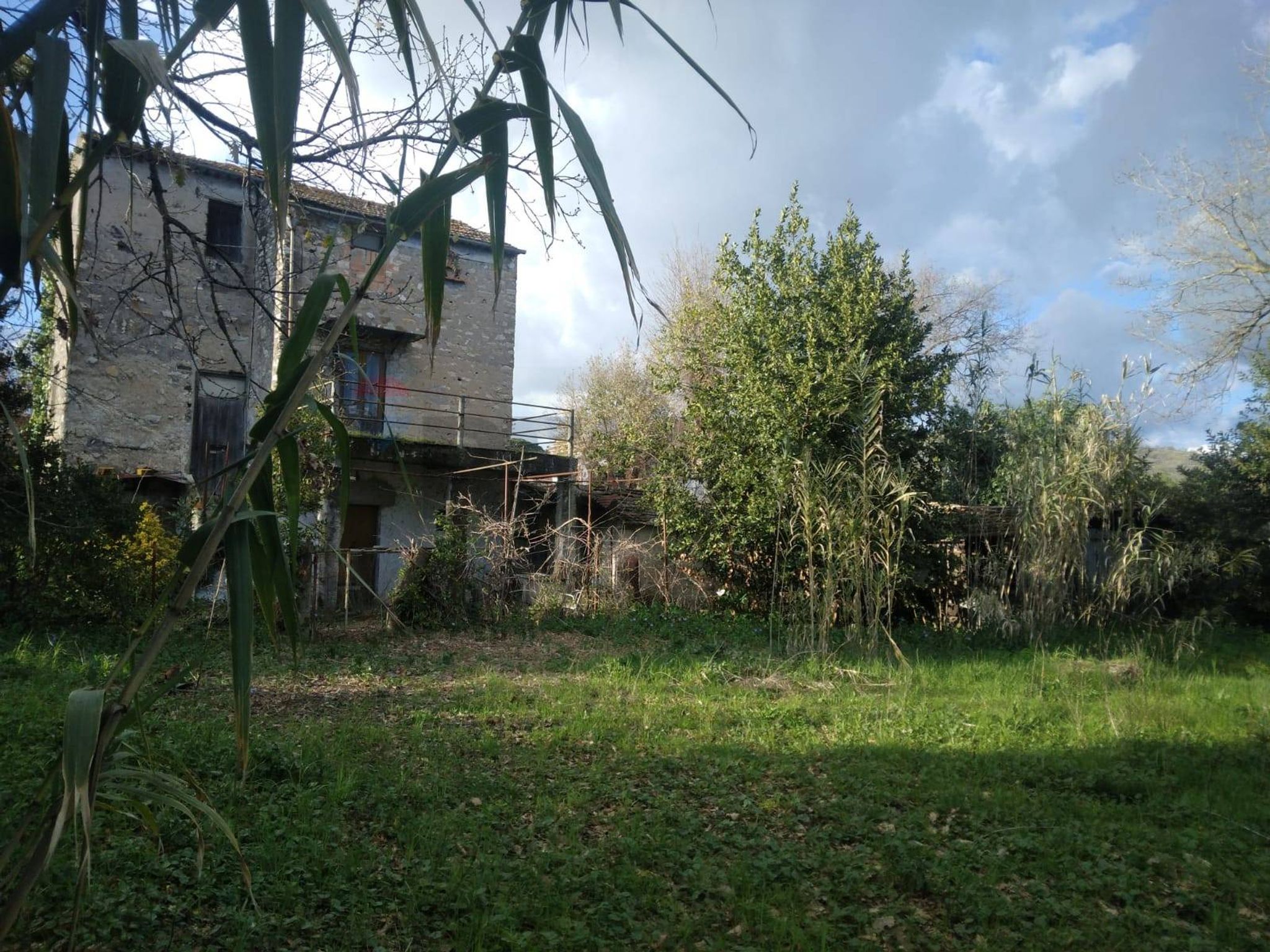 Giardino