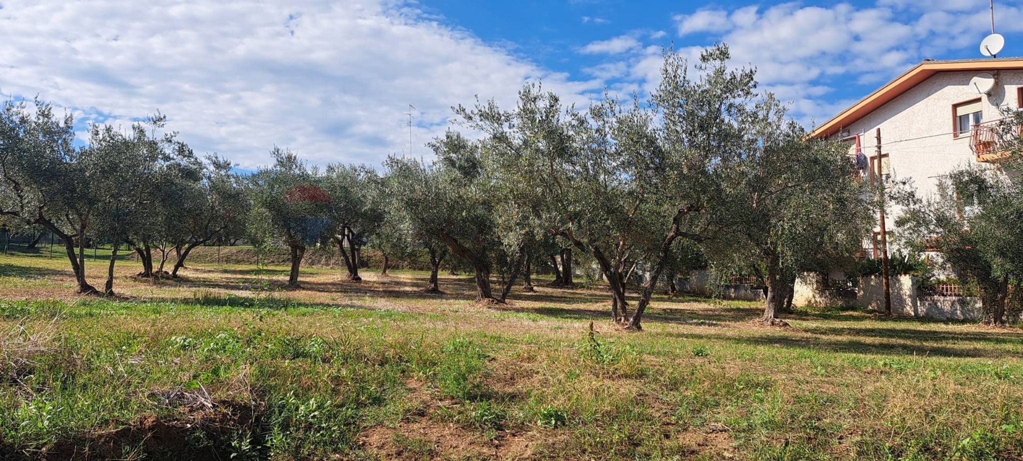 Property in Lanciano