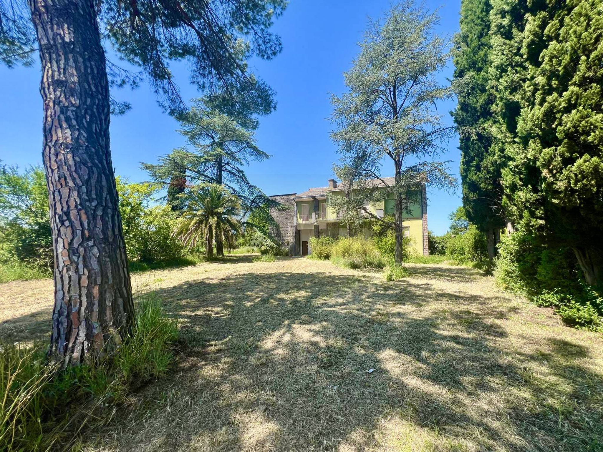 Giardino