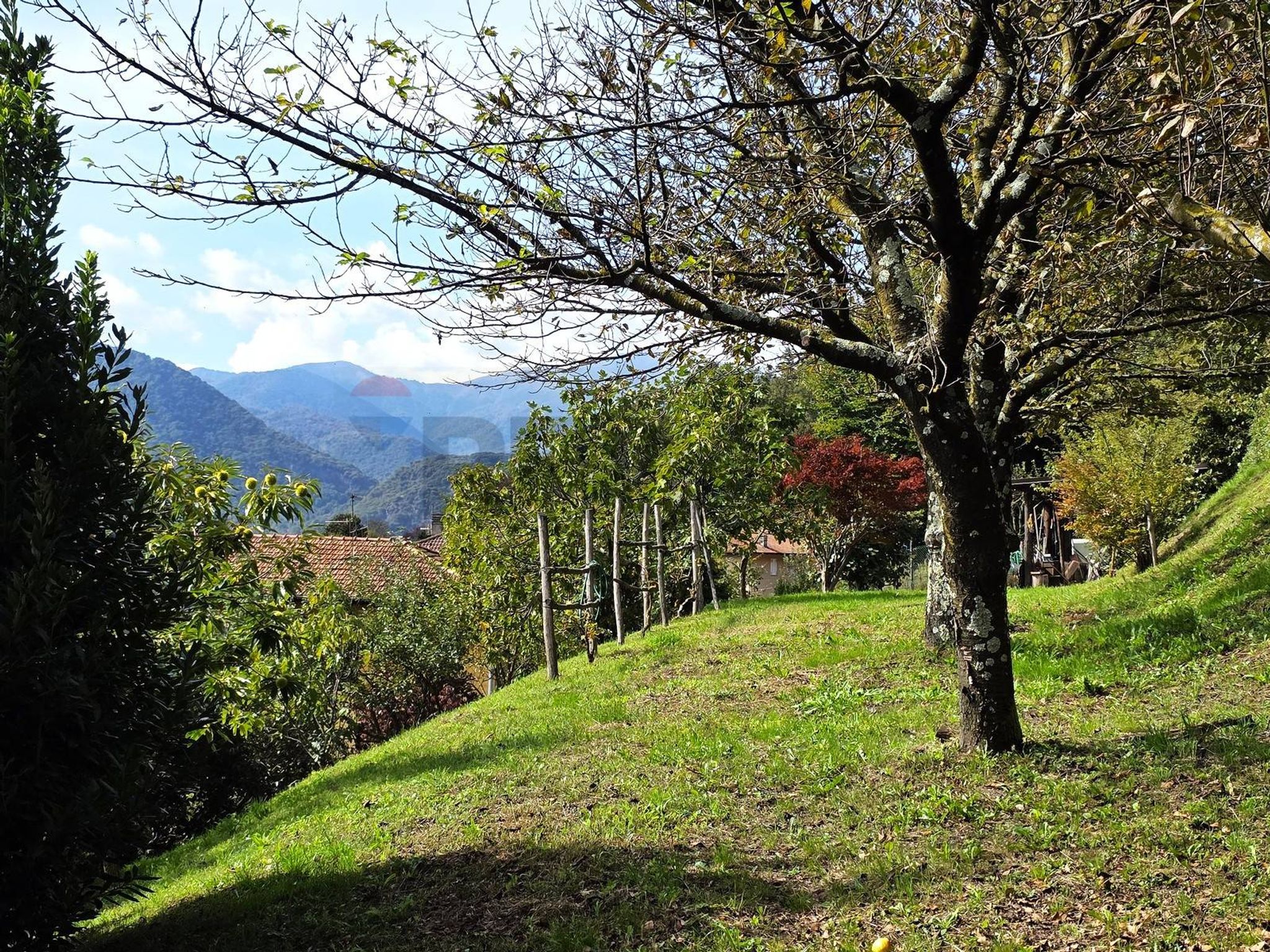 Vista delle montagne