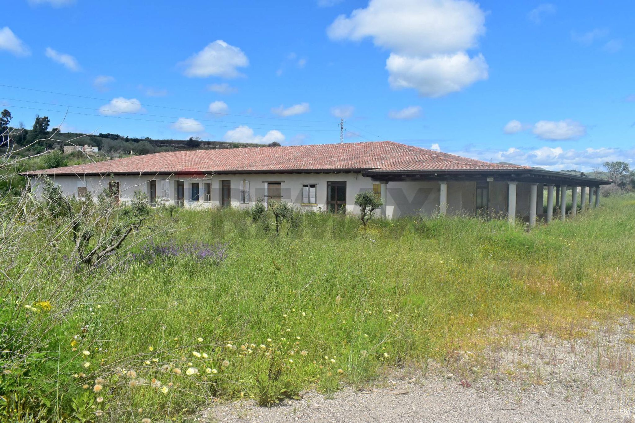 Property in Codrongianos