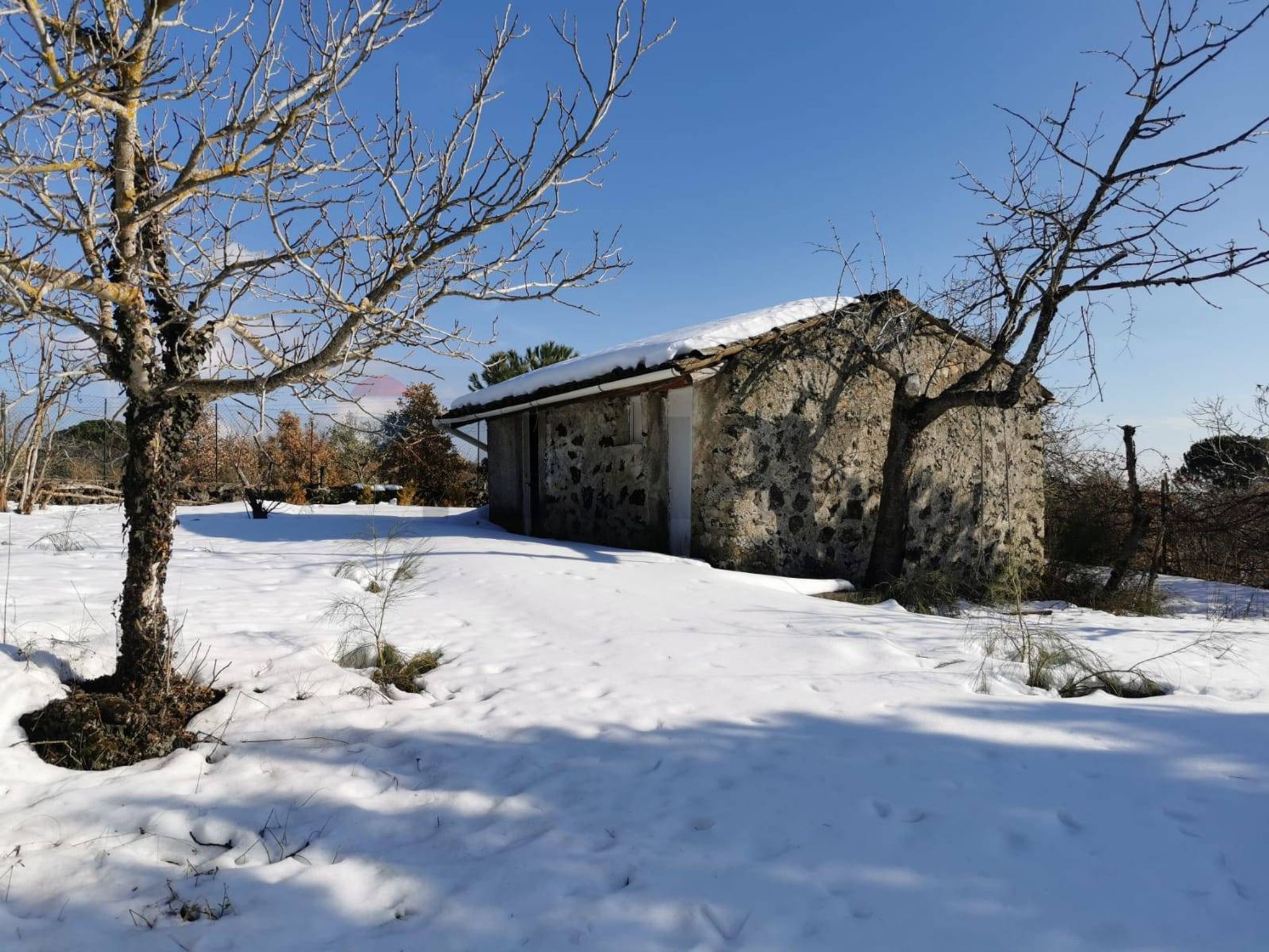 Property in Nicolosi