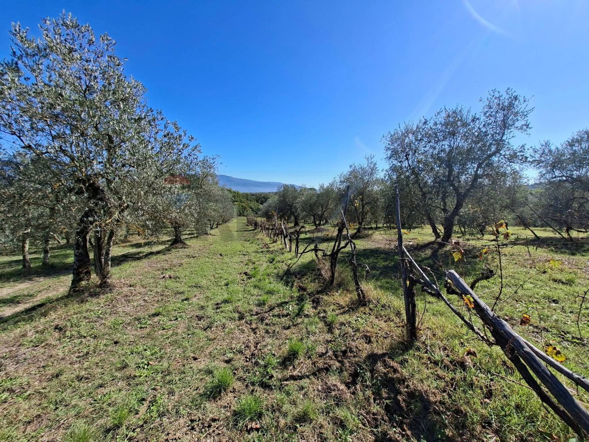 Vista delle montagne