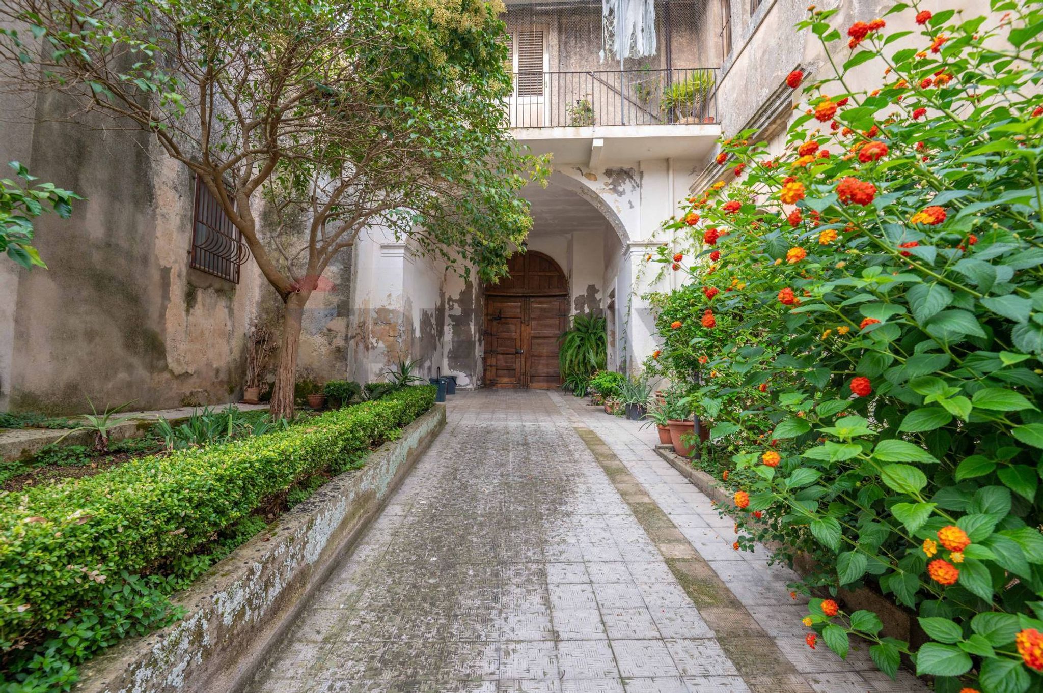 Giardino
