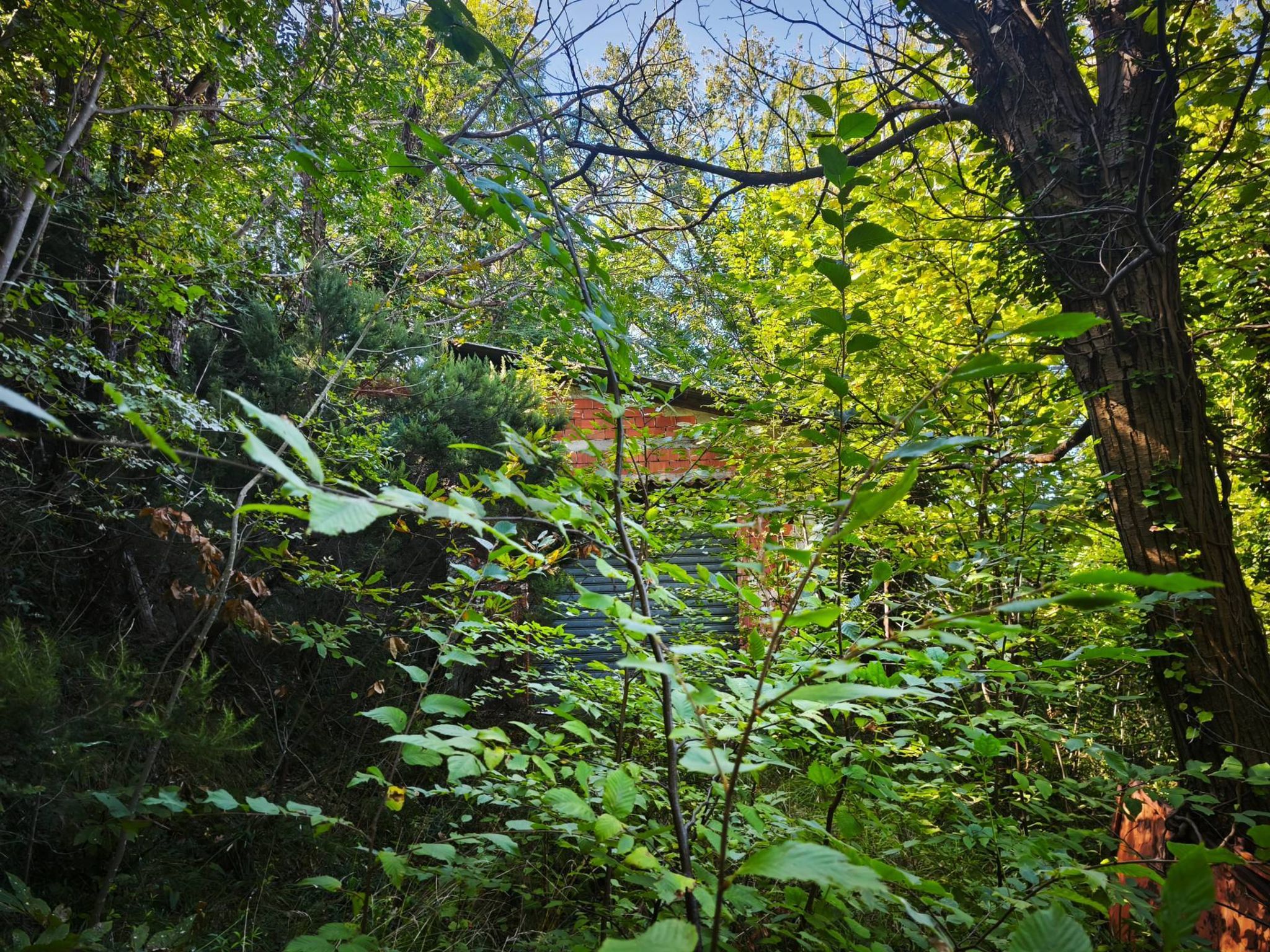 Giardino