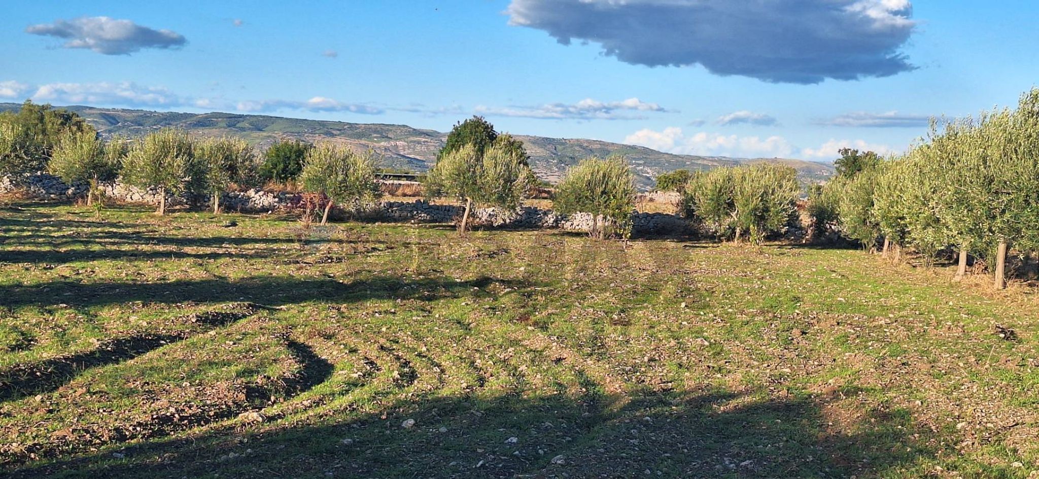 Vista delle montagne