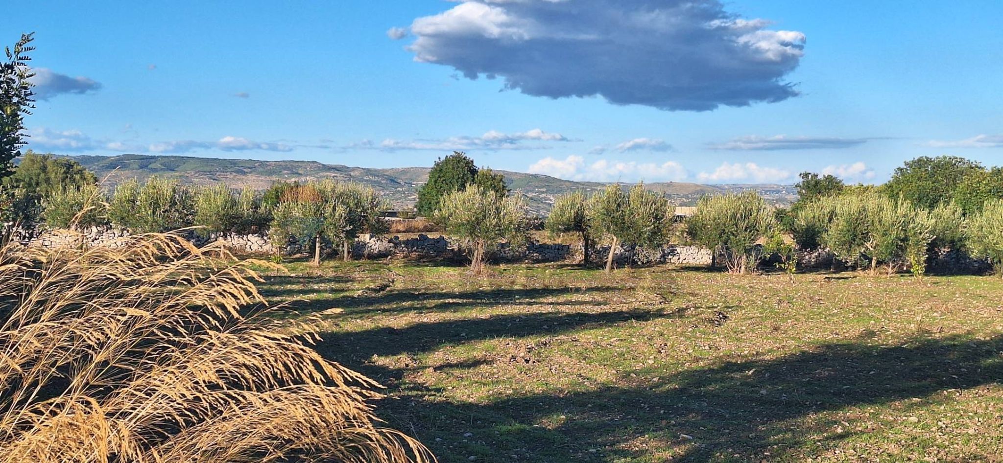 Vista delle montagne