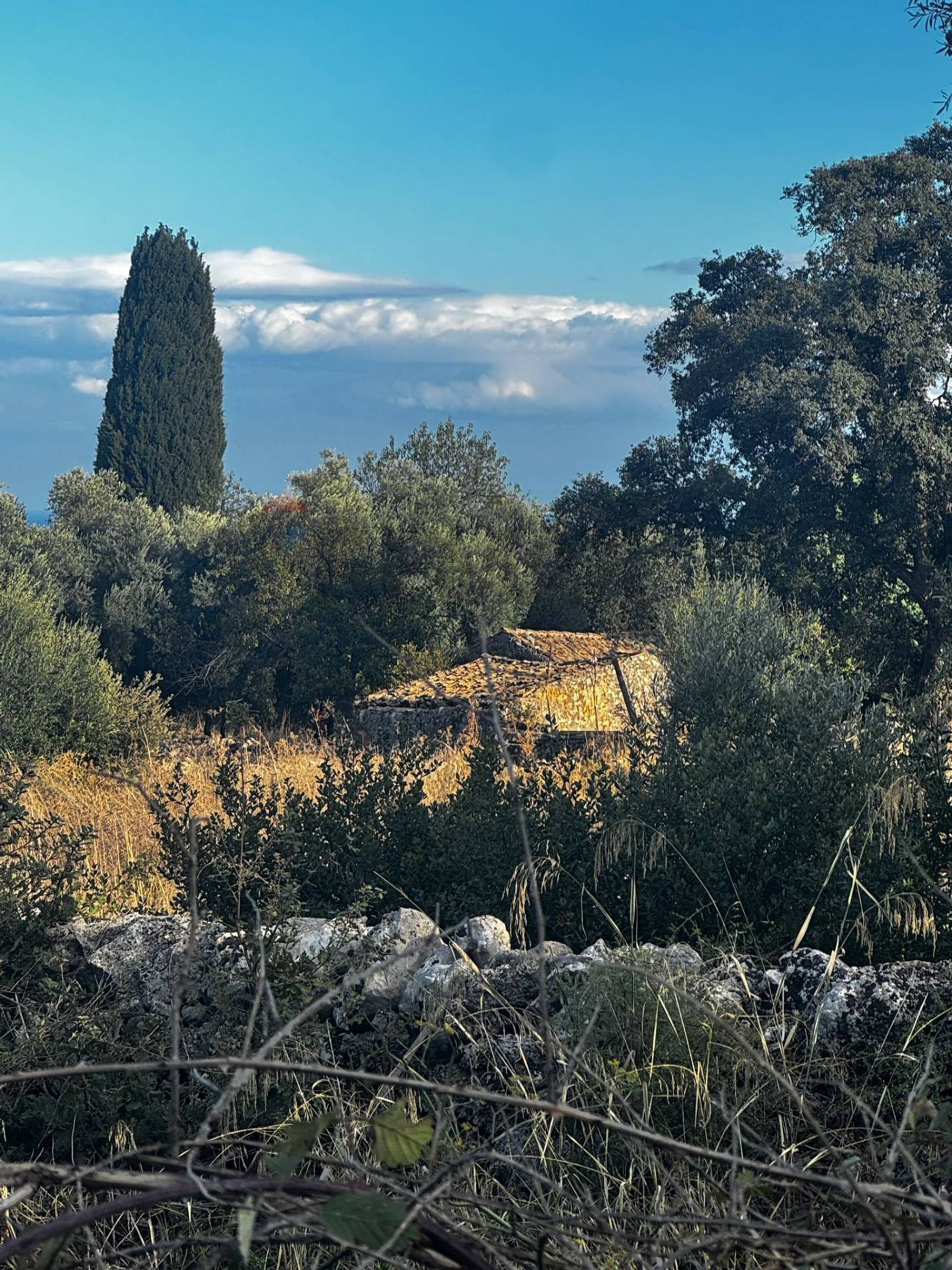 Vista delle montagne