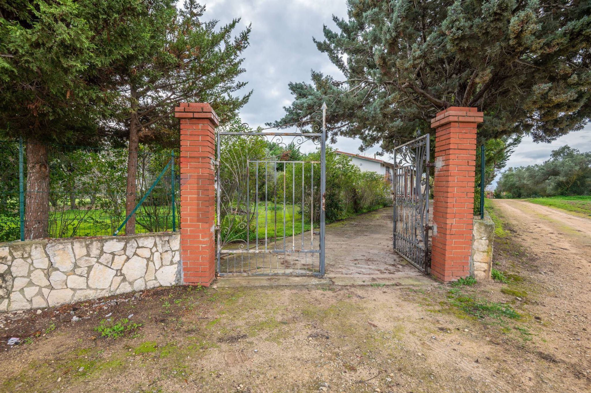 Giardino