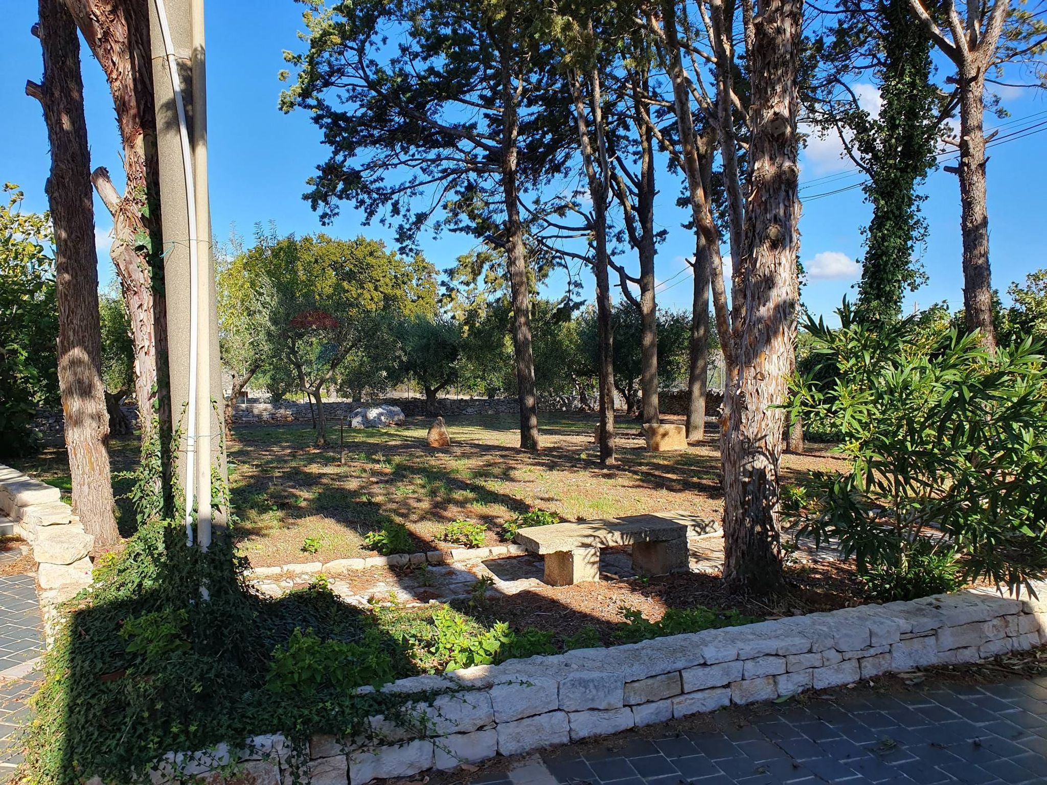 Giardino