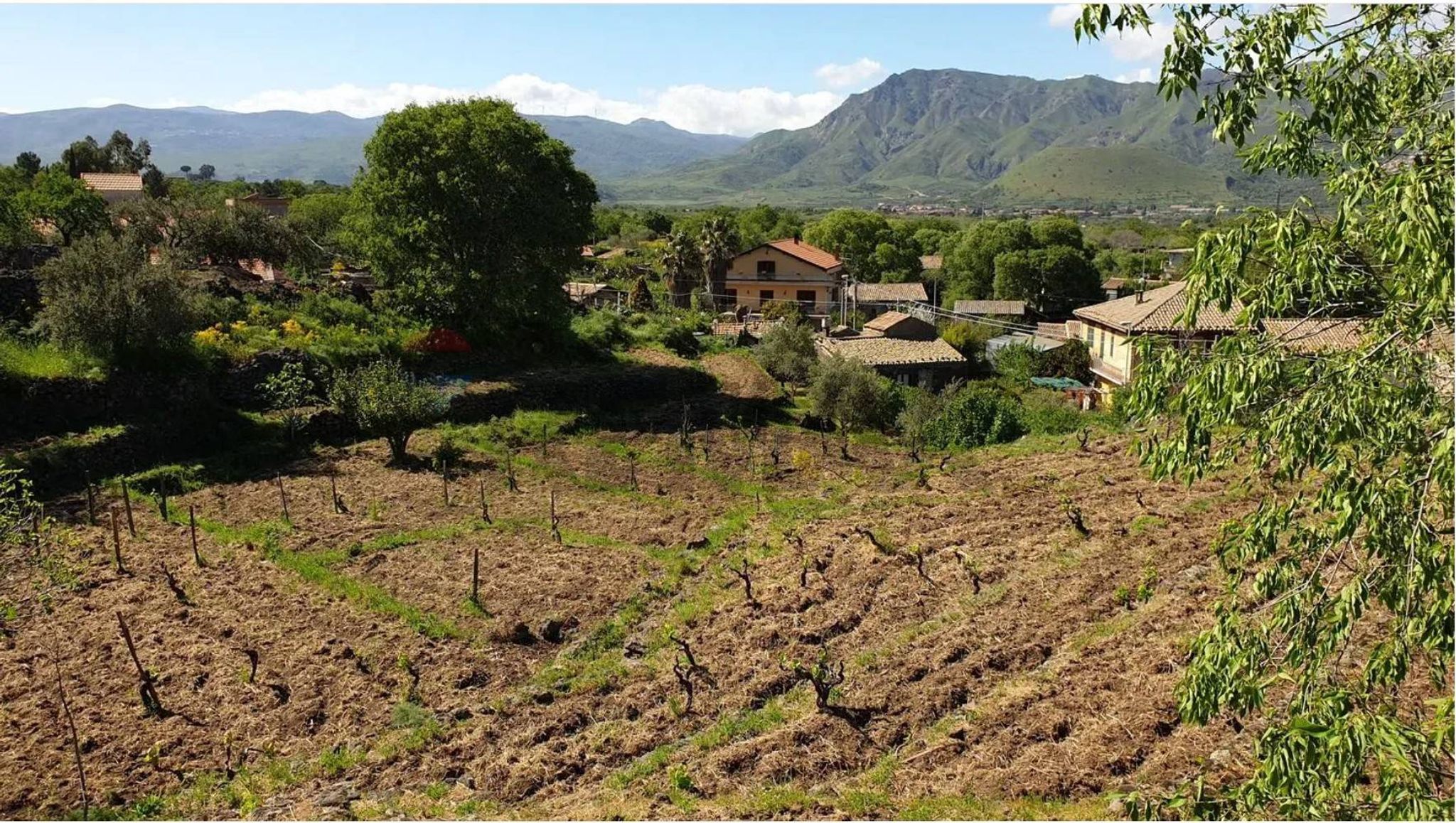 Vista delle montagne