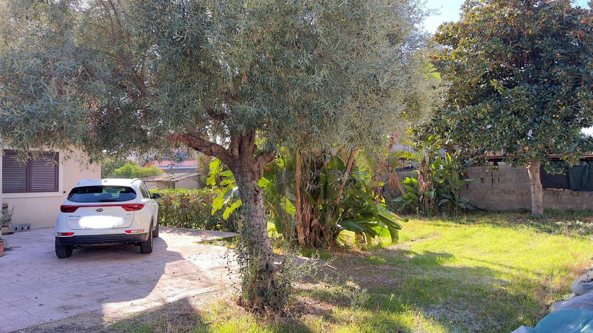 Giardino