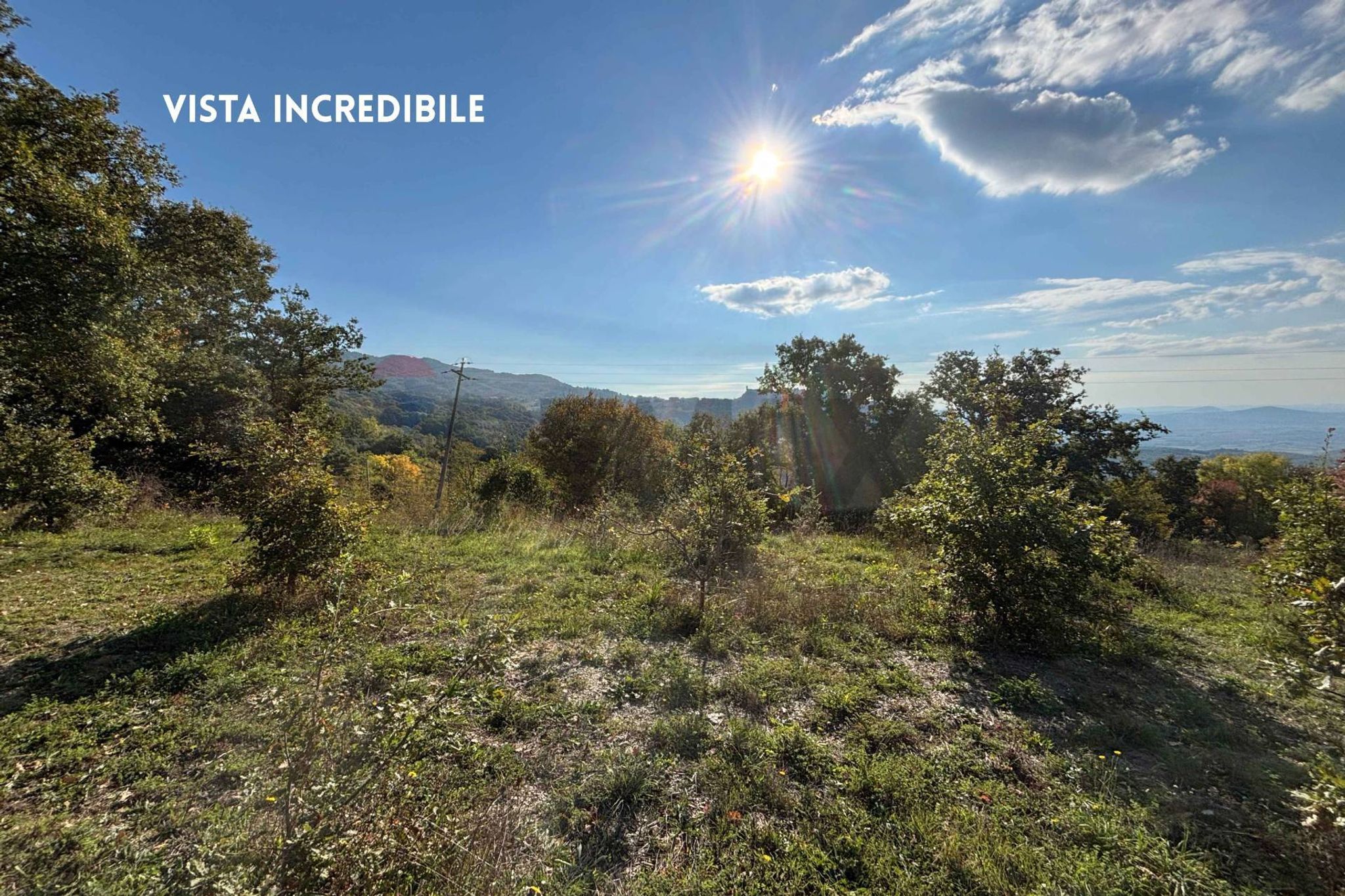 Property in Roccastrada
