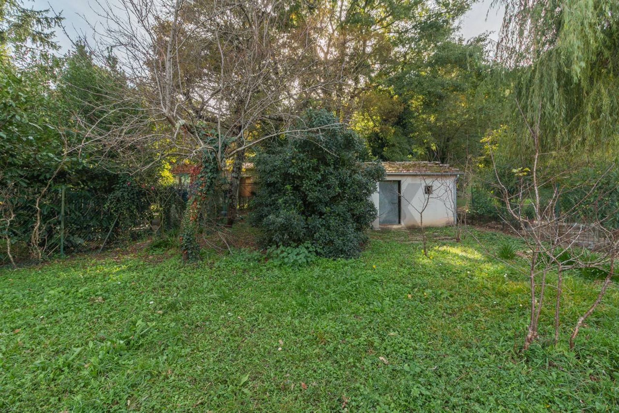 Property in Semproniano