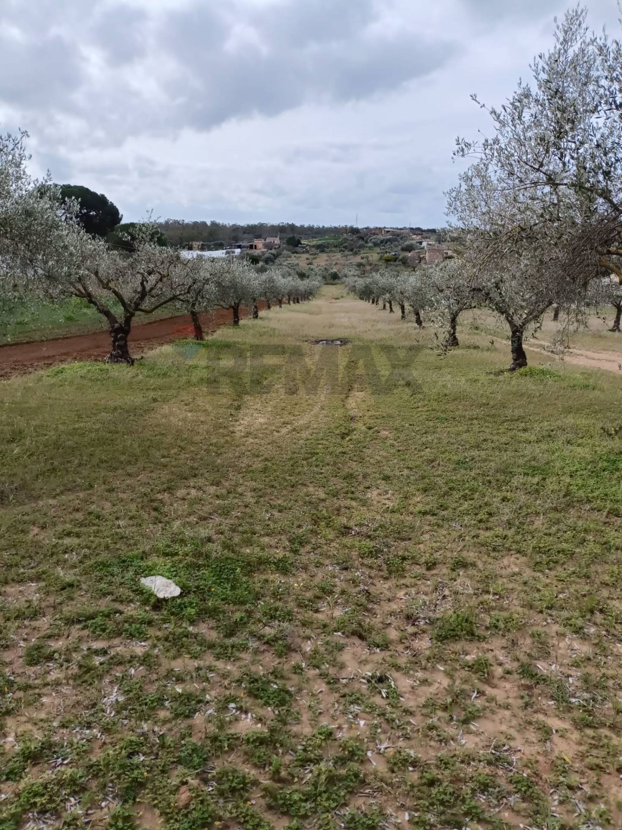 Immobile a Caltagirone