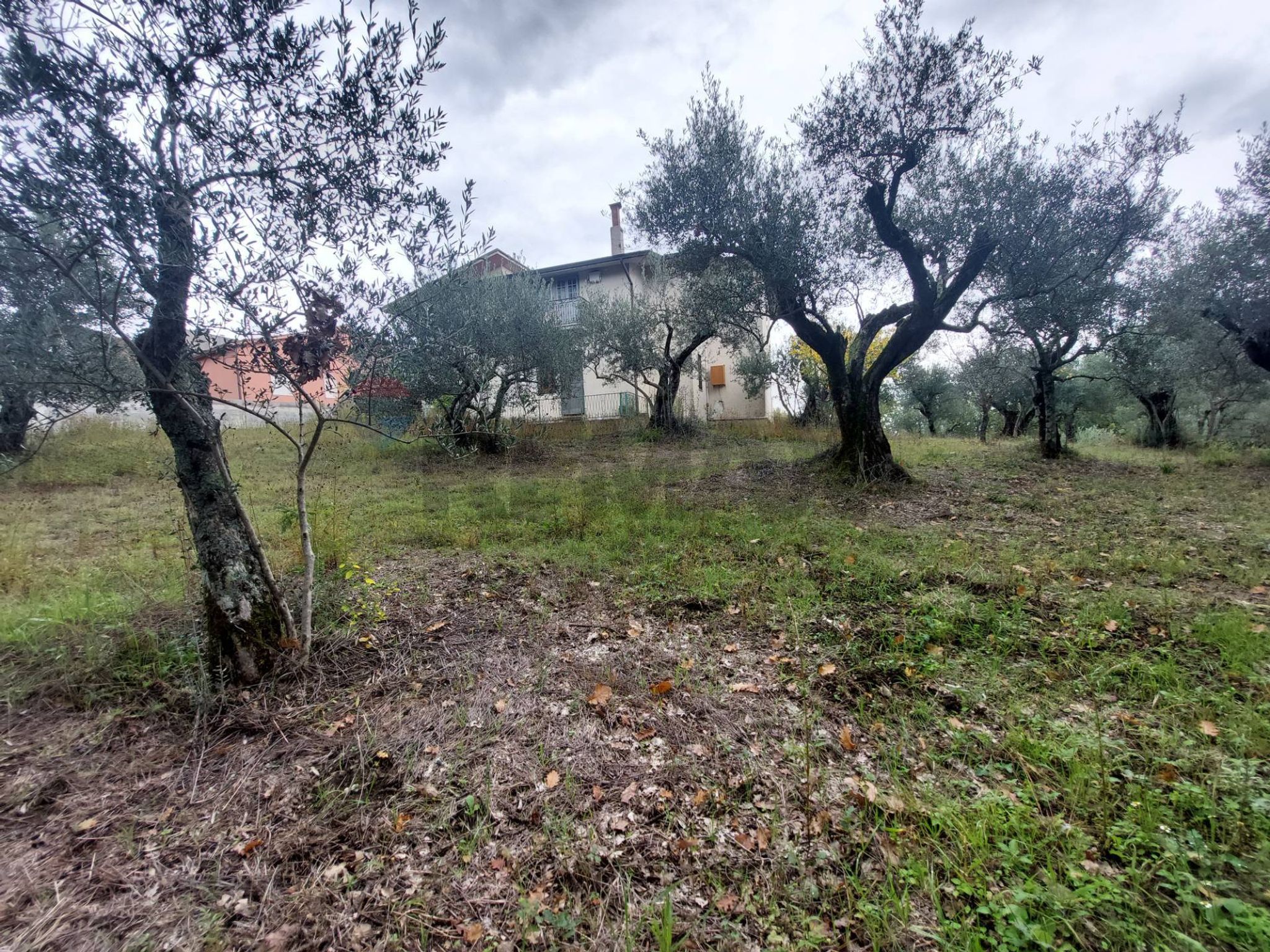 Giardino