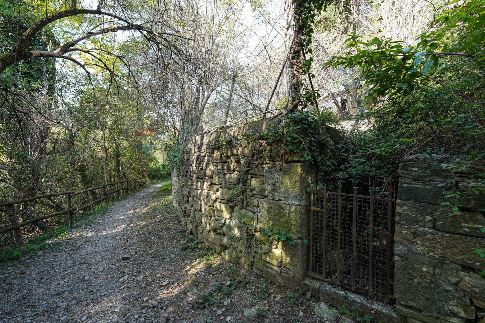 Giardino