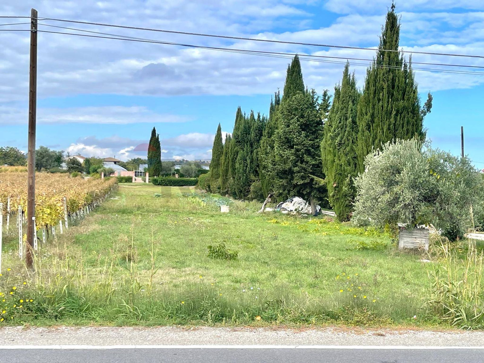 Giardino