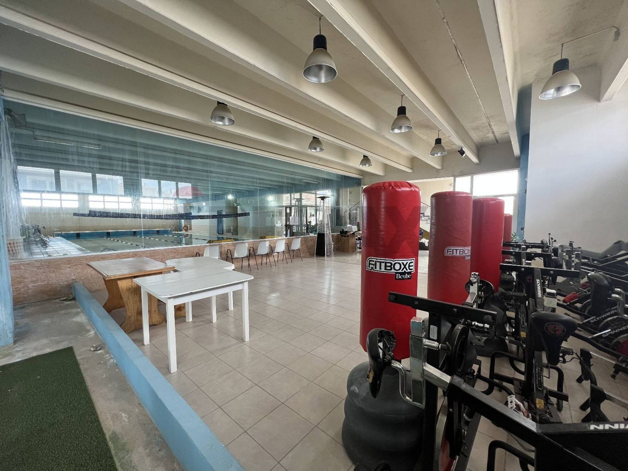 Palestra