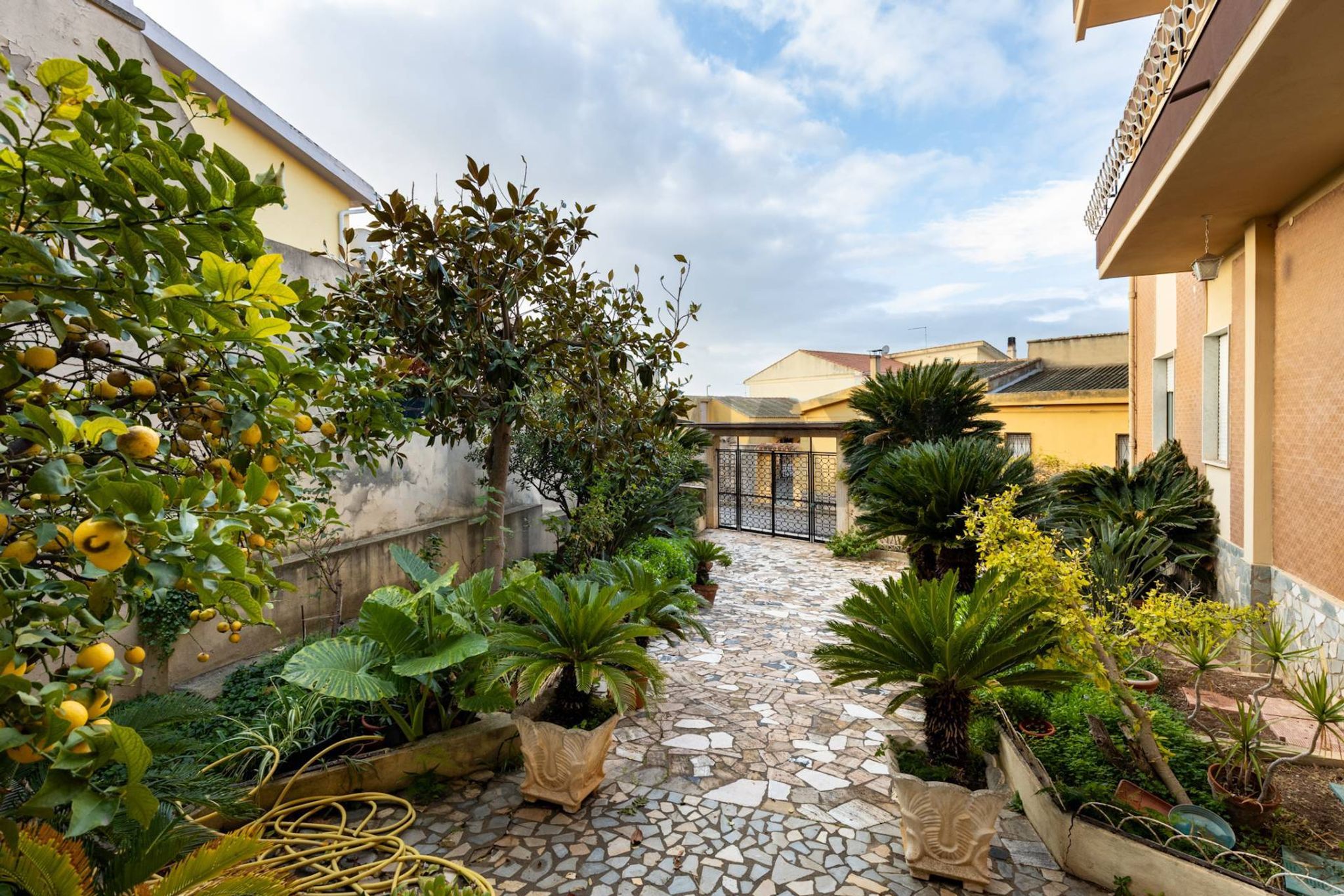 Giardino