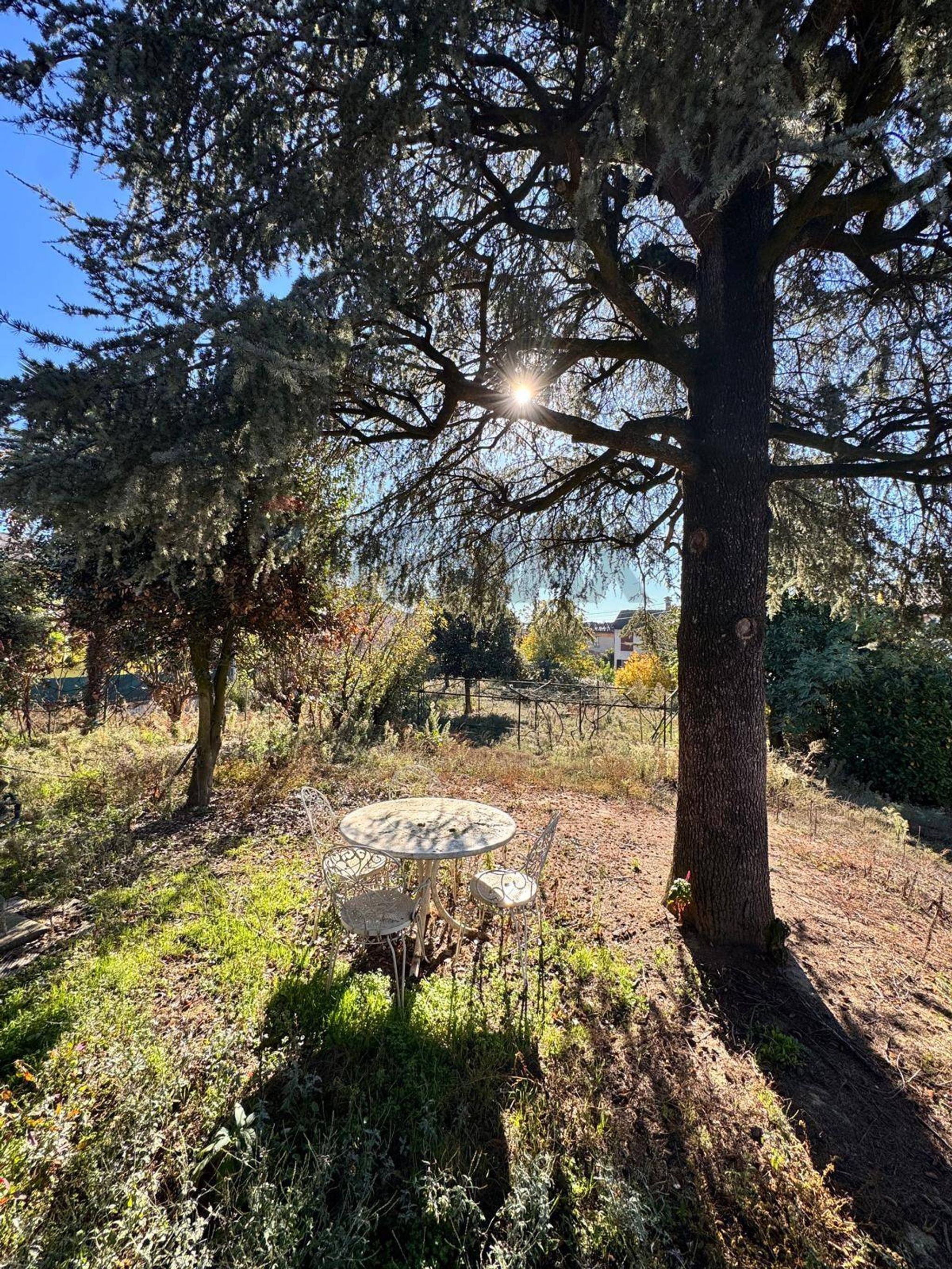 Giardino