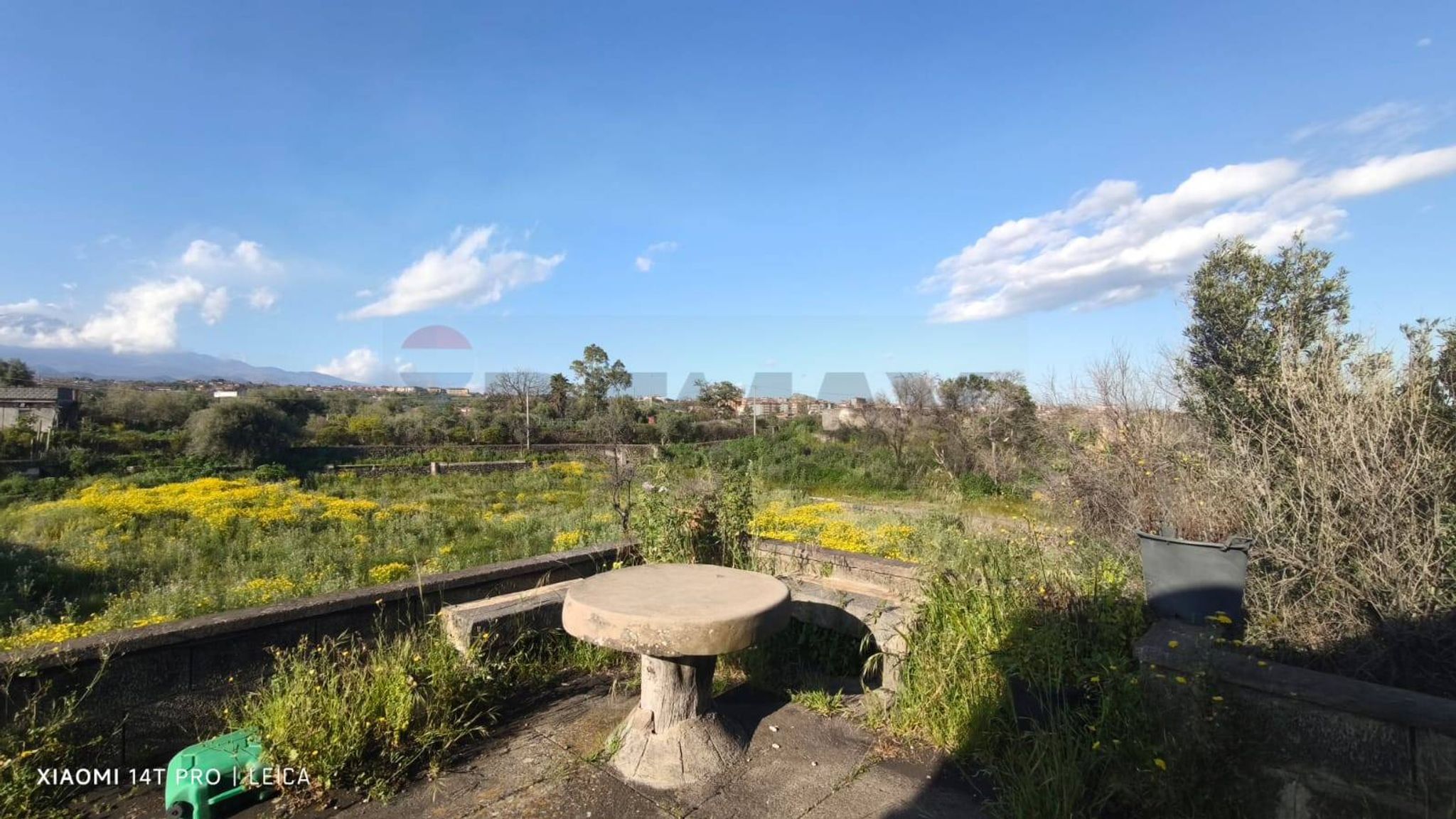 Giardino