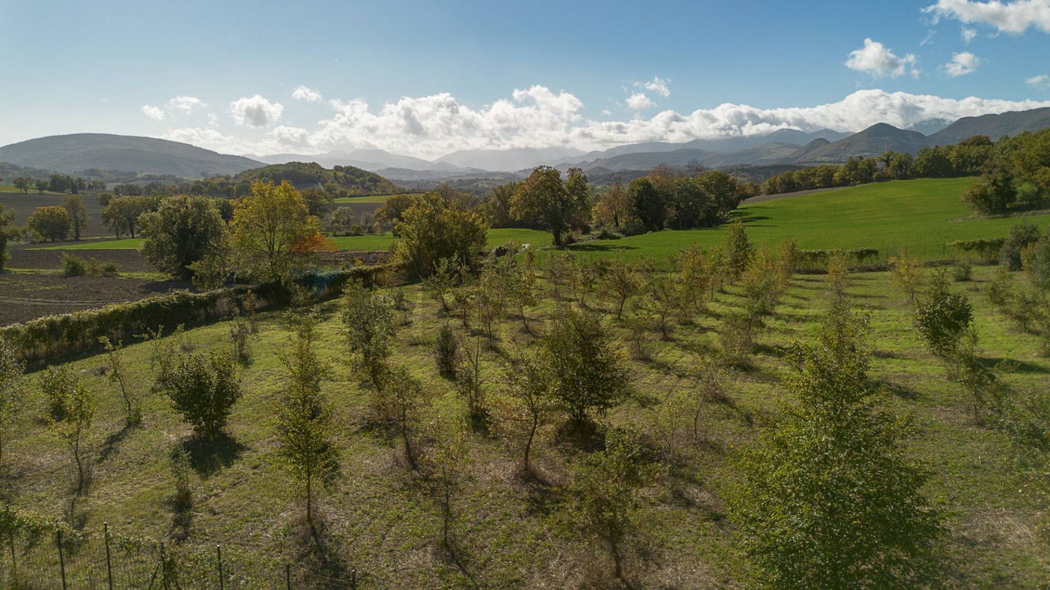 Vista delle montagne