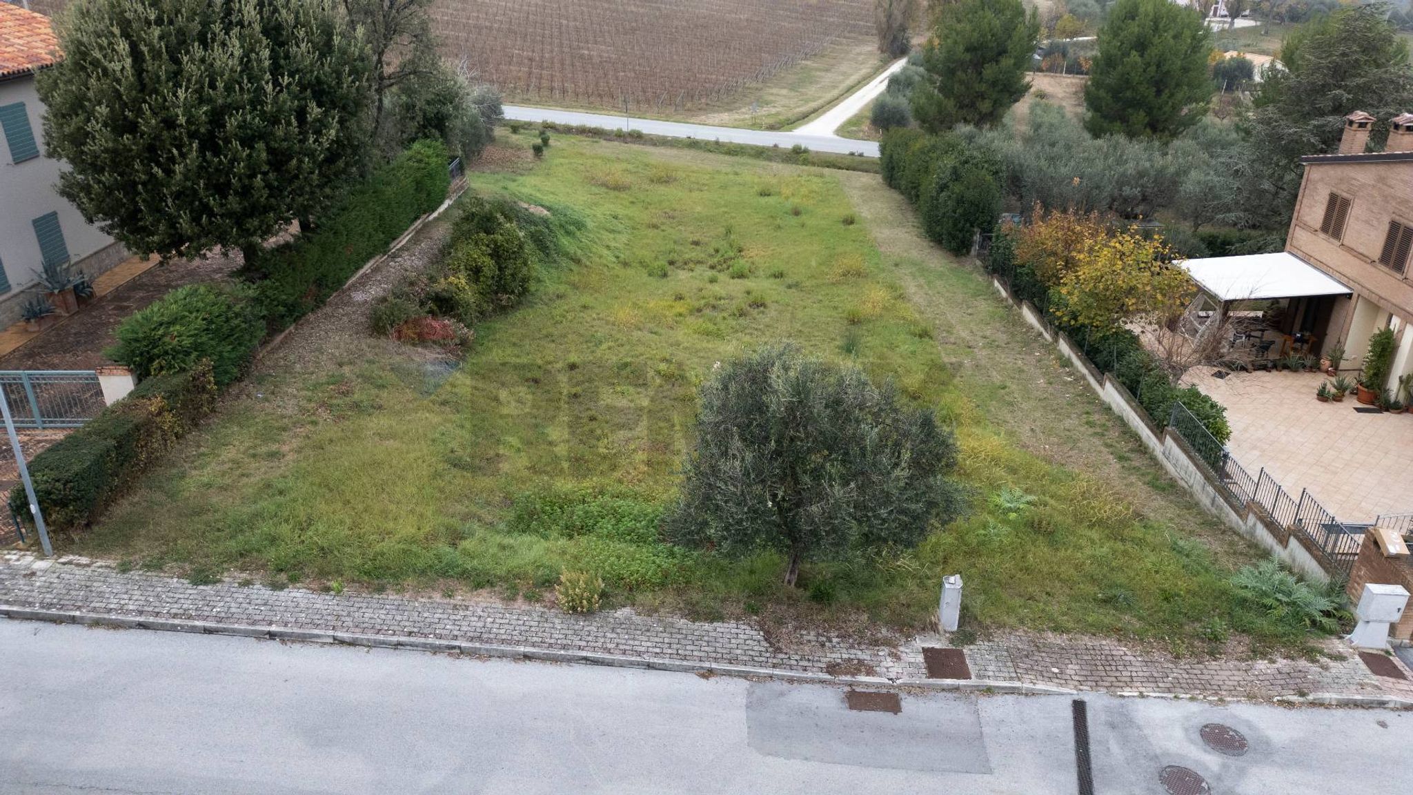 Giardino