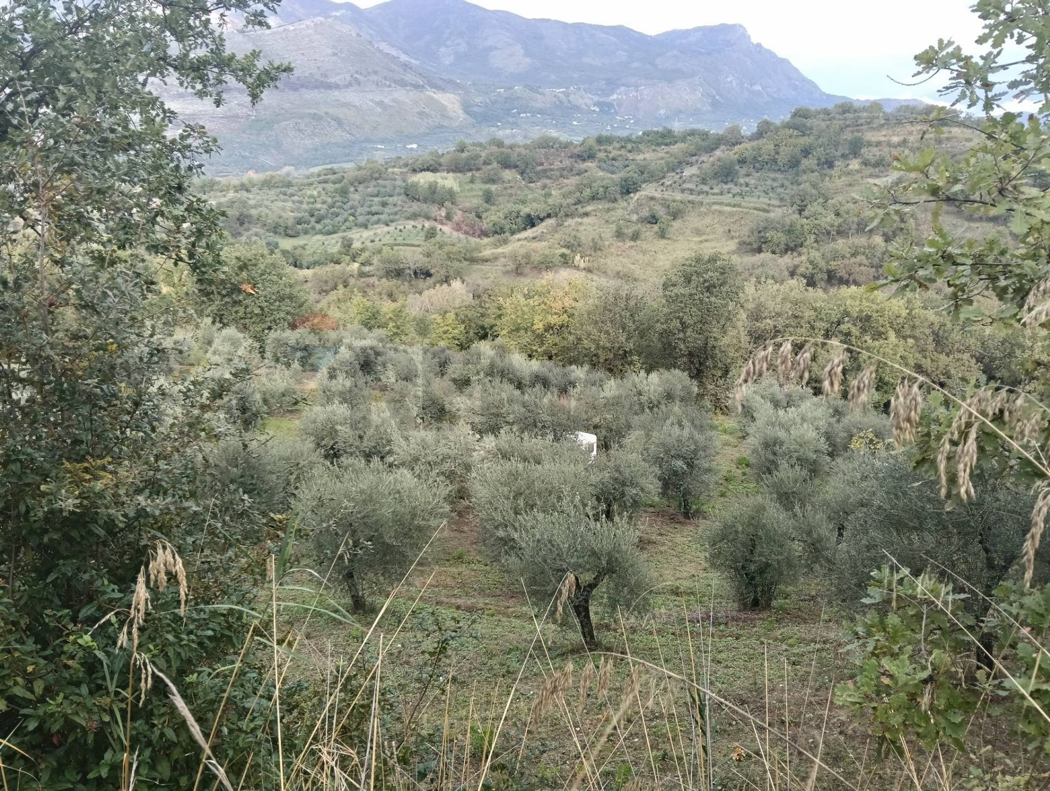 Vista delle montagne