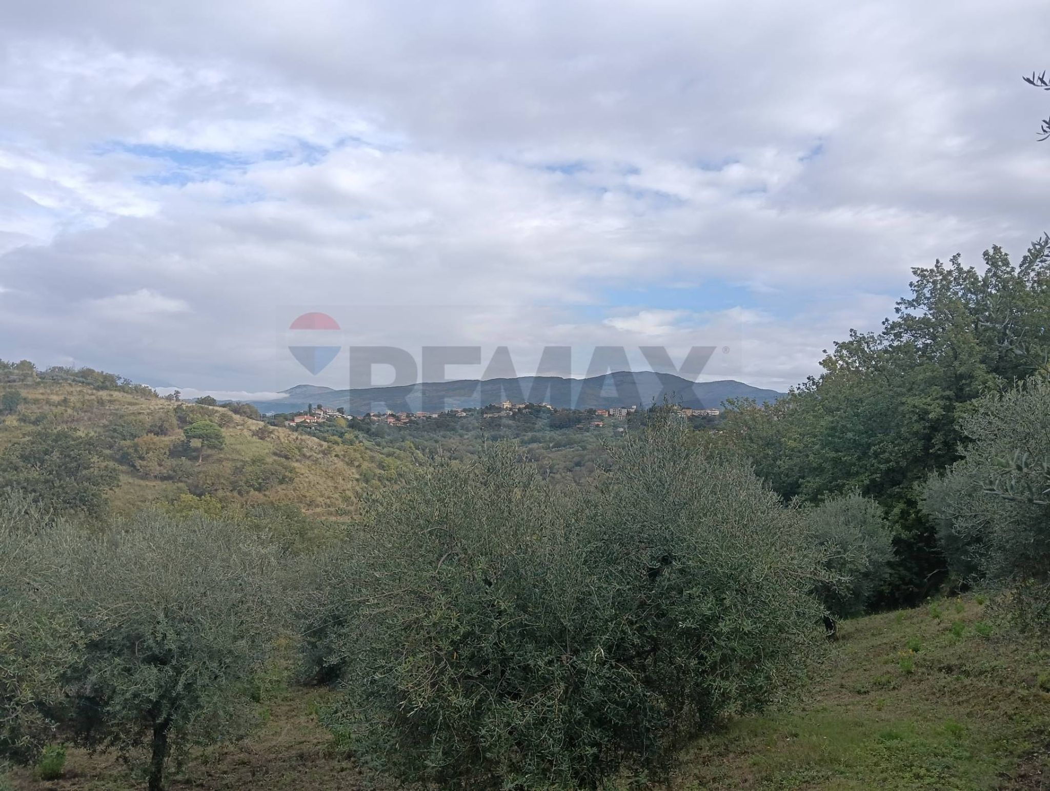 Vista delle montagne